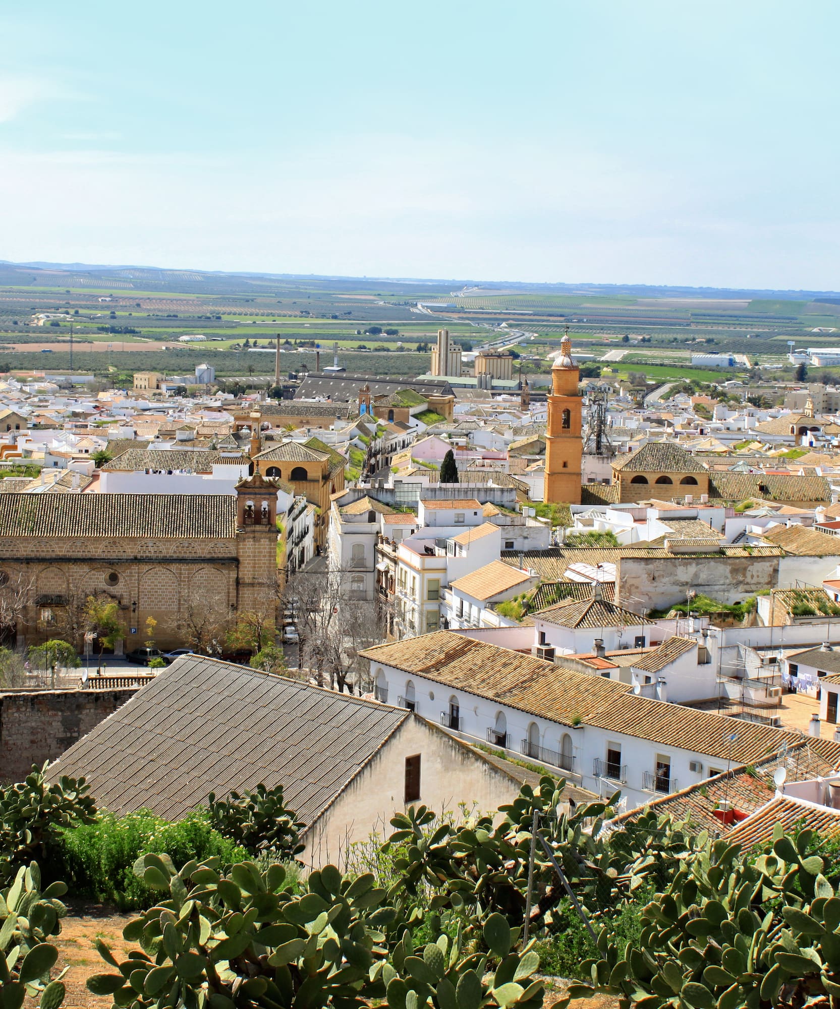 a city with many buildings and trees