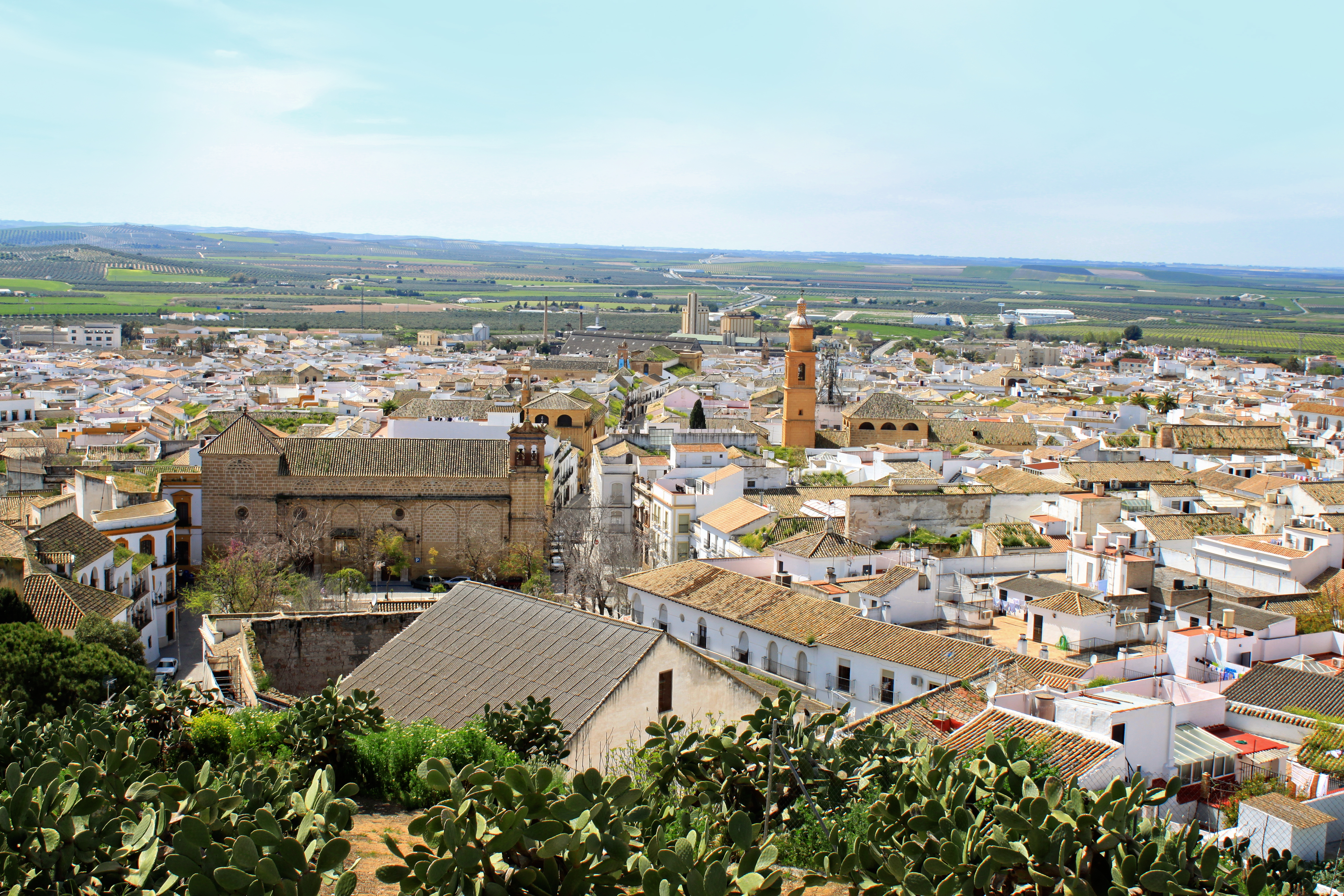a city with many buildings and trees