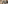 Modern bathroom with dark green tiles, wood floor, floating vanity, shower, and bathtub.