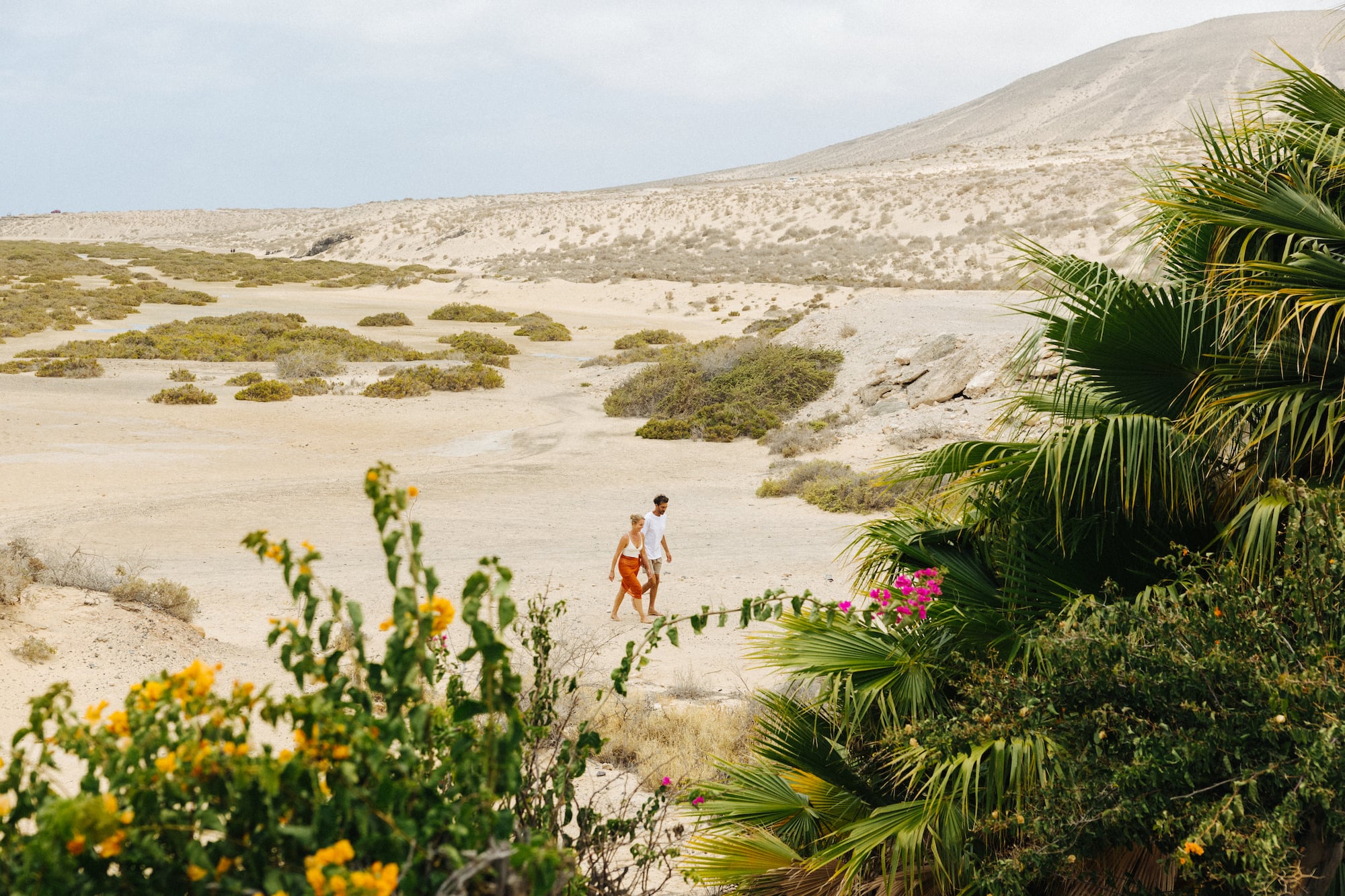 Pareja camina por paisaje desértico con dunas, palmeras y flores.