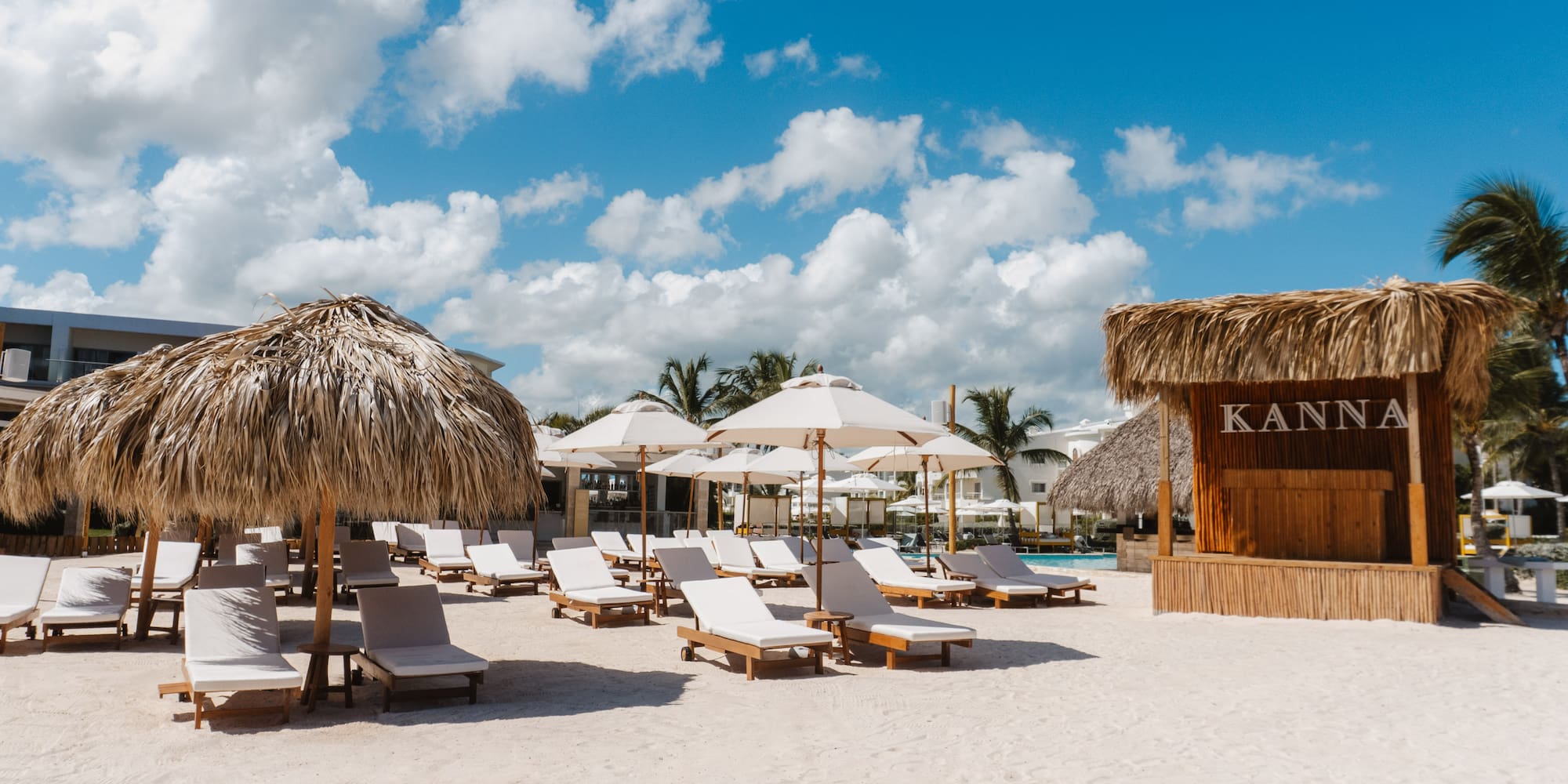 a group of chairs and umbrellas on a beach