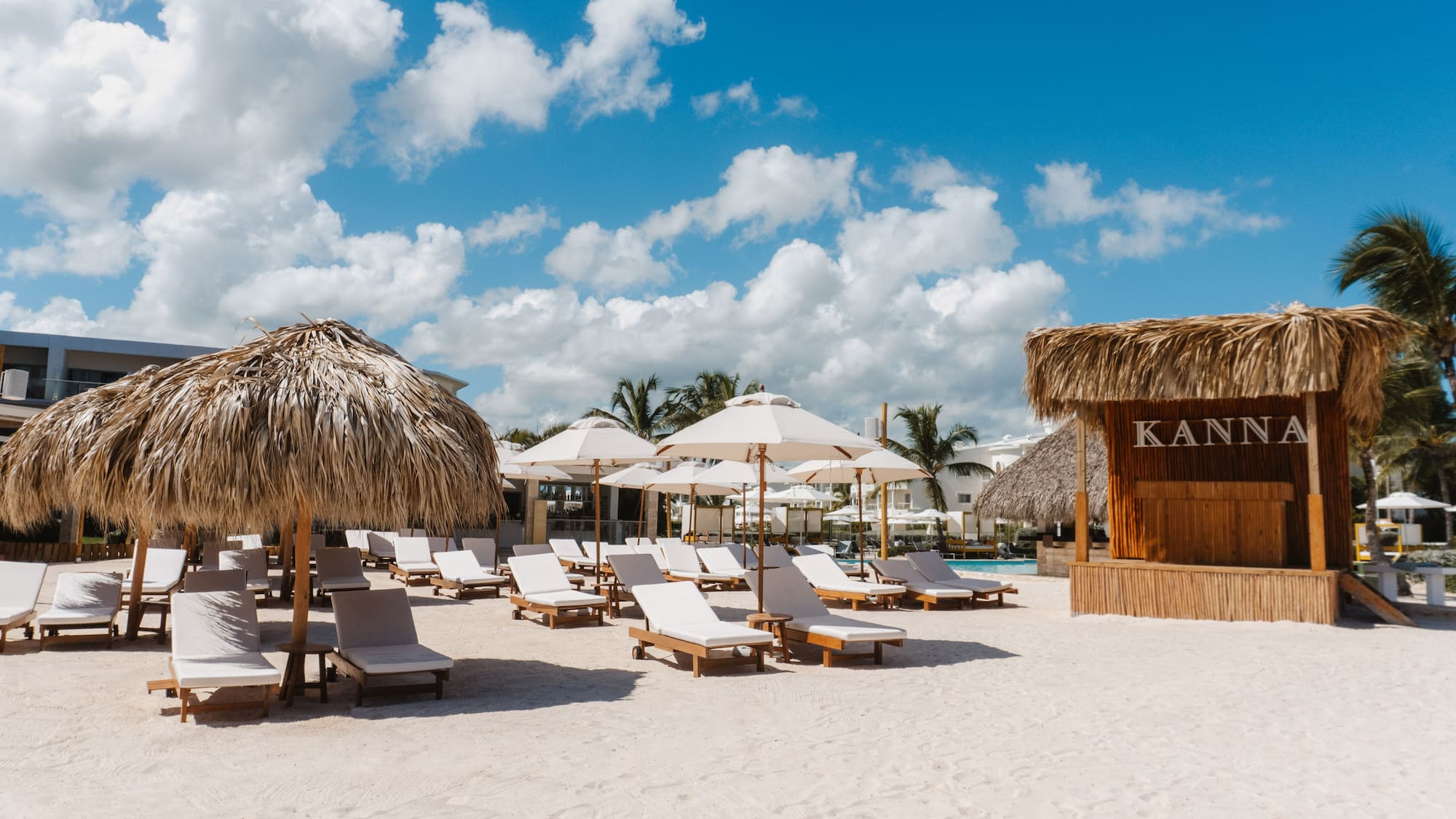 a group of chairs and umbrellas on a beach