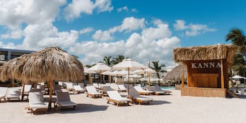 a group of chairs and umbrellas on a beach