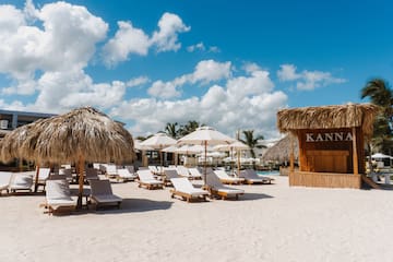 a group of chairs and umbrellas on a beach