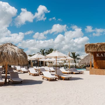 a group of chairs and umbrellas on a beach