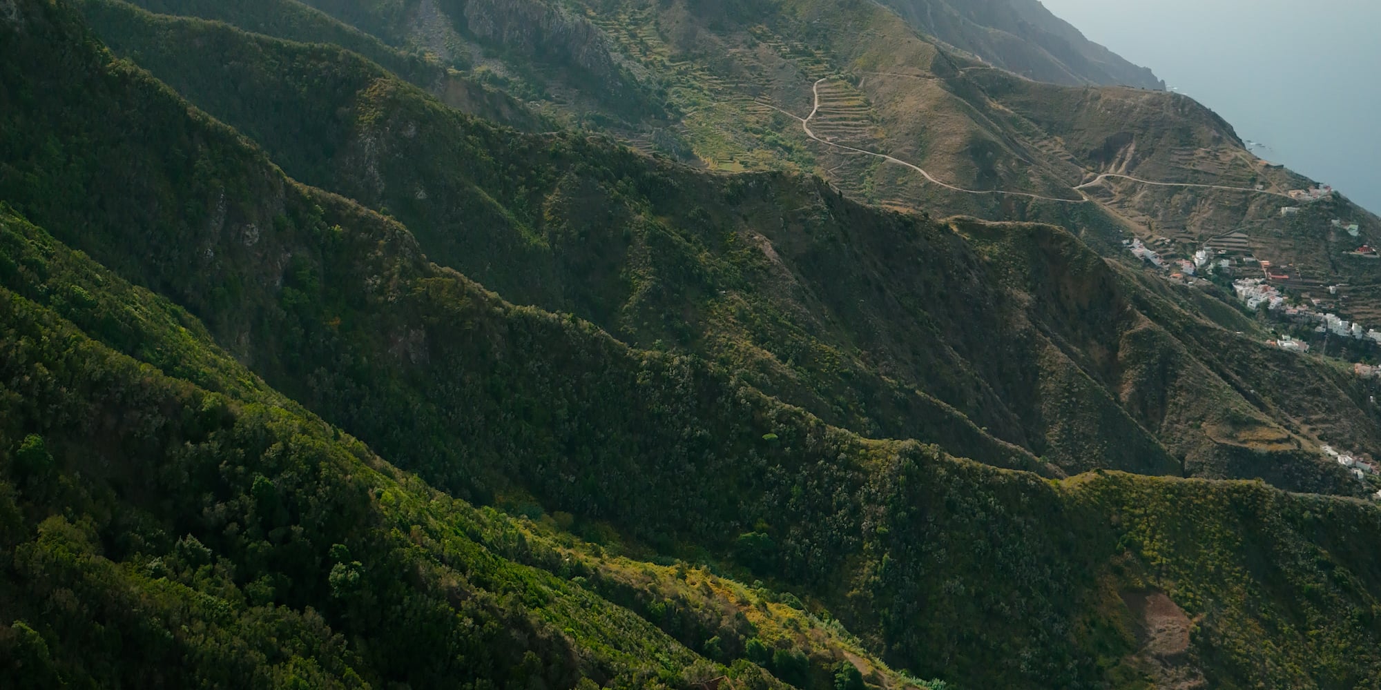 a green mountain range with trees