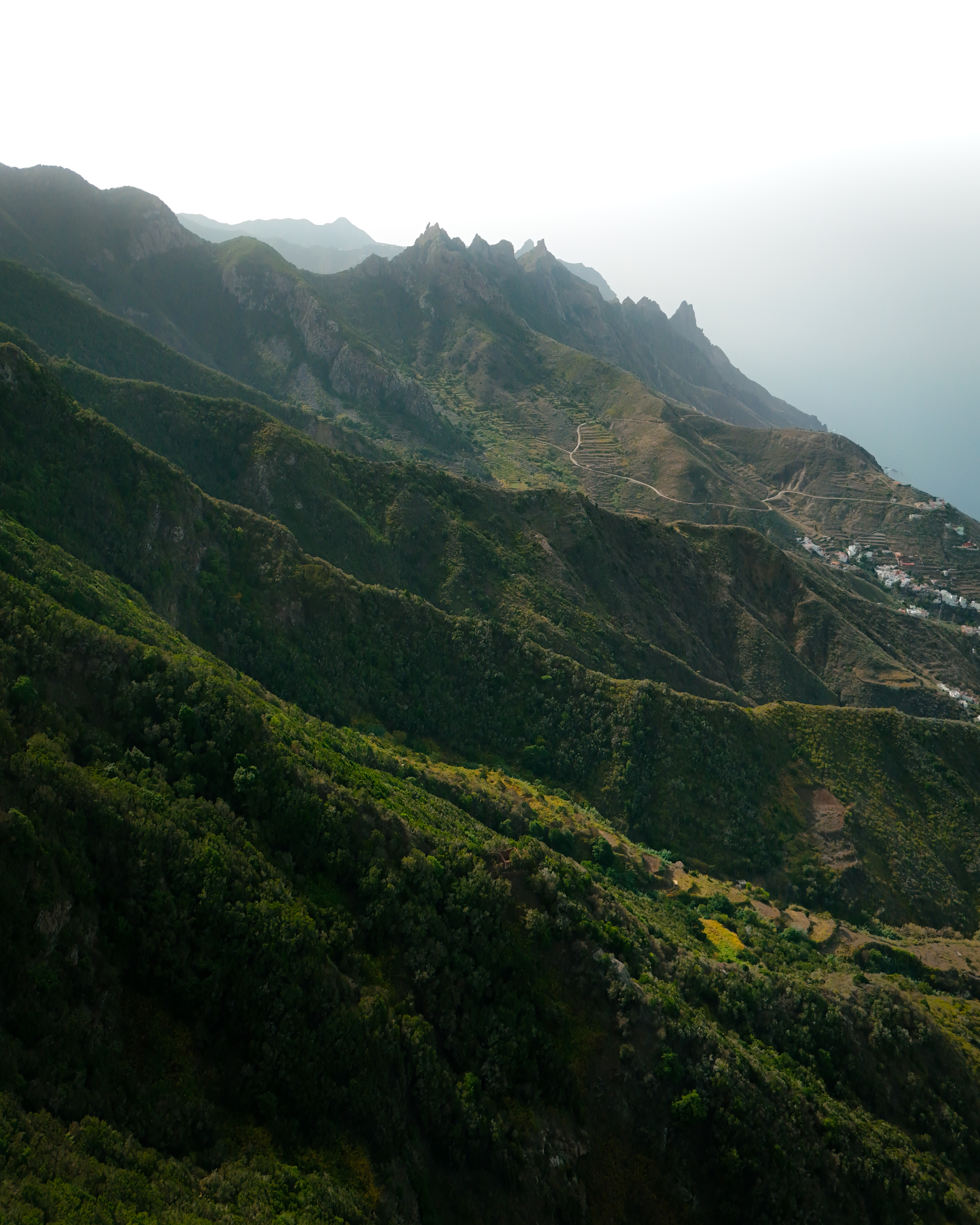 a green mountain range with trees