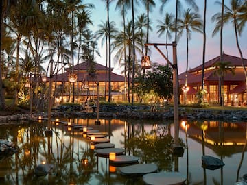 a walkways leading to a pond with palm trees