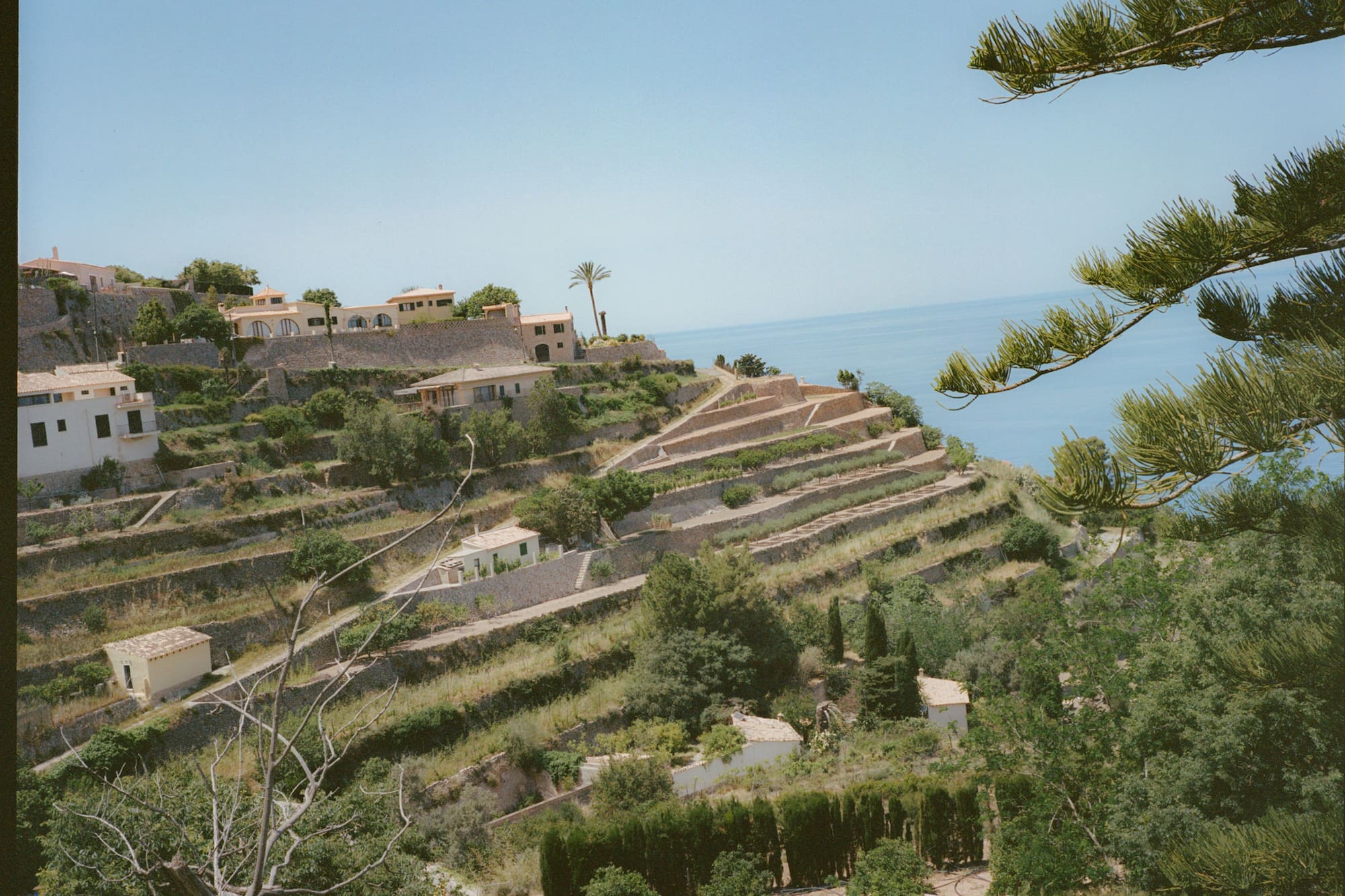 Paisaje costero aterrazado con casas, vista al mar y pinos.