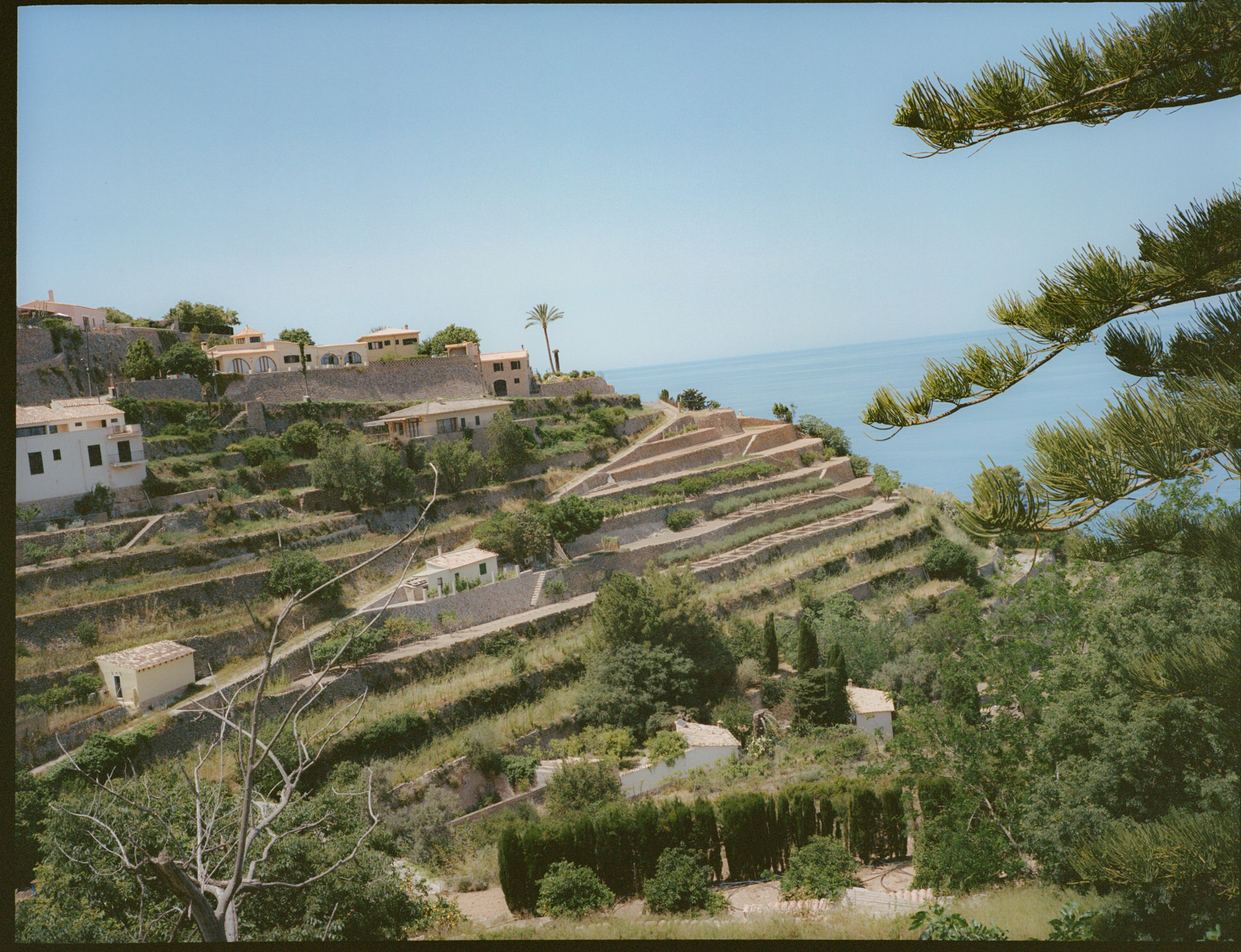 Paisaje costero aterrazado con casas, vista al mar y pinos.