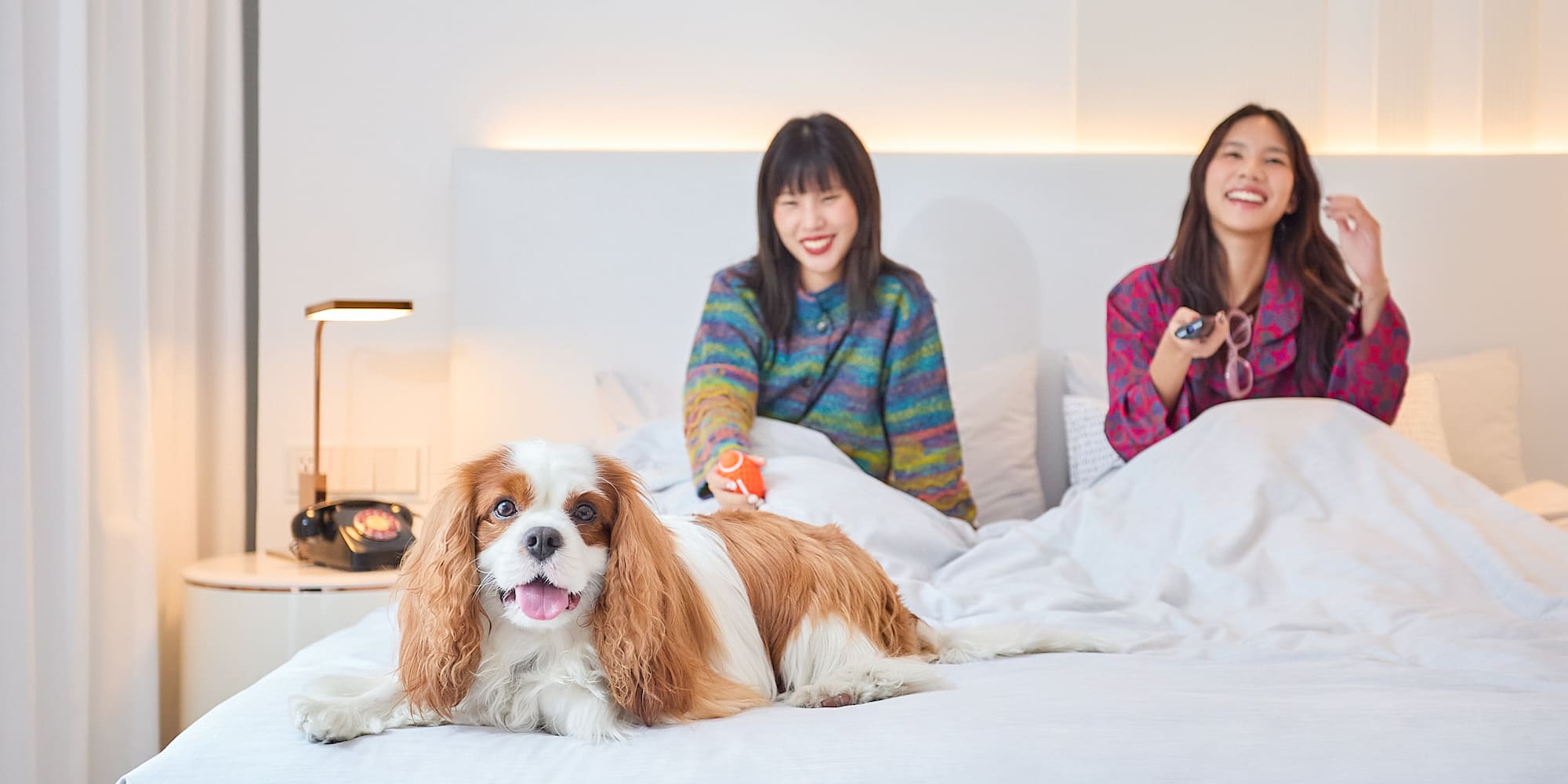 a couple of women sitting on a bed with a dog