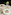 Gourmet appetizers: beet tartare with truffle, savory pastry cup, and sliced meat.