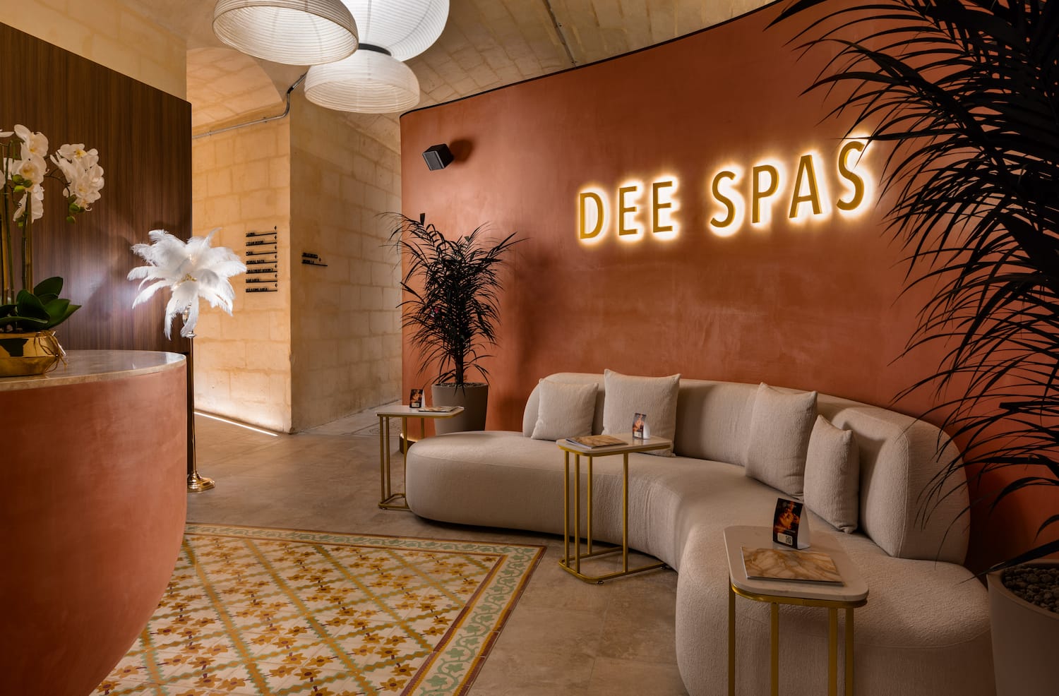 a room with a couch and a plant