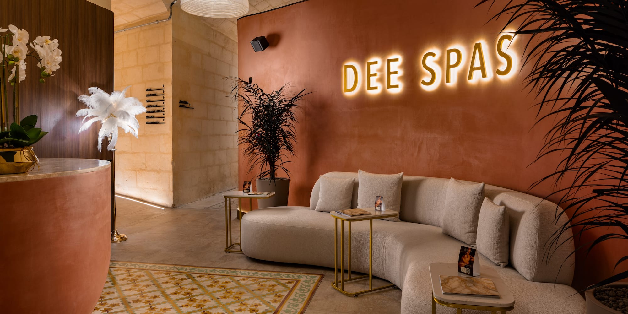 a room with a couch and a plant