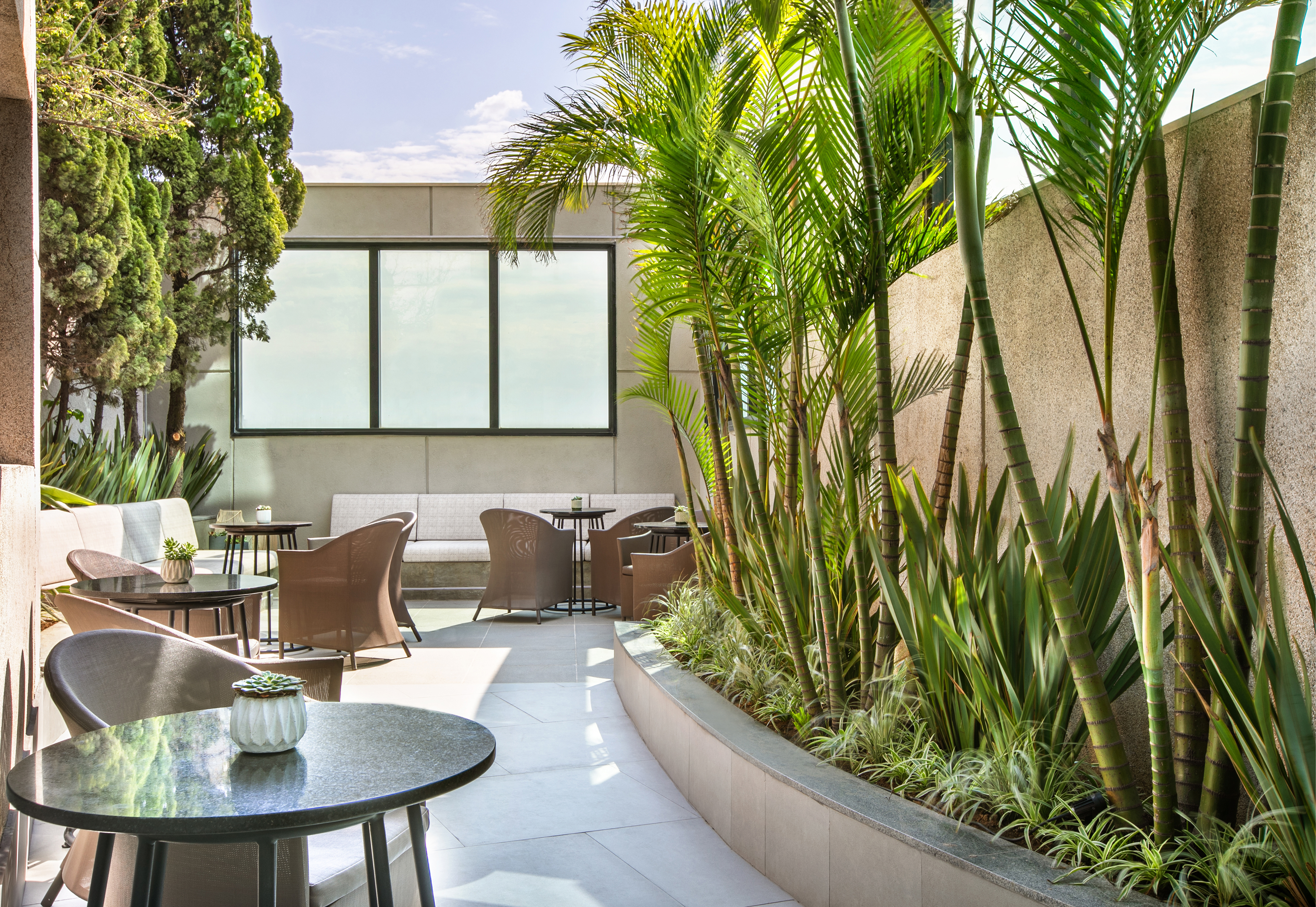 Outdoor terrace with modern patio furniture and lush palm trees.
