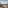 Winter vineyard landscape with bare grapevines framed by olive trees under an overcast sky.