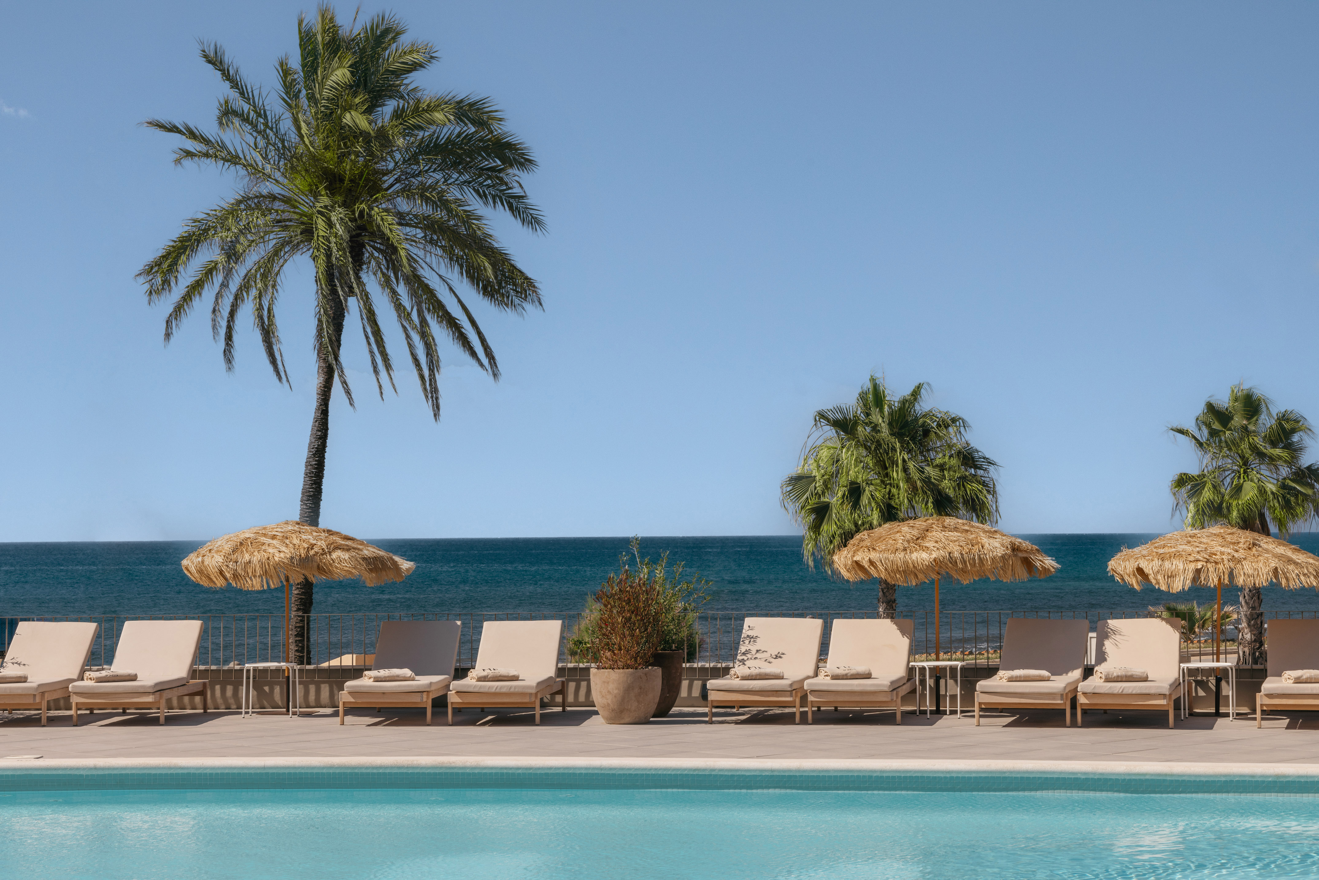 Oceanfront resort pool with sun loungers, straw umbrellas, and palm trees.