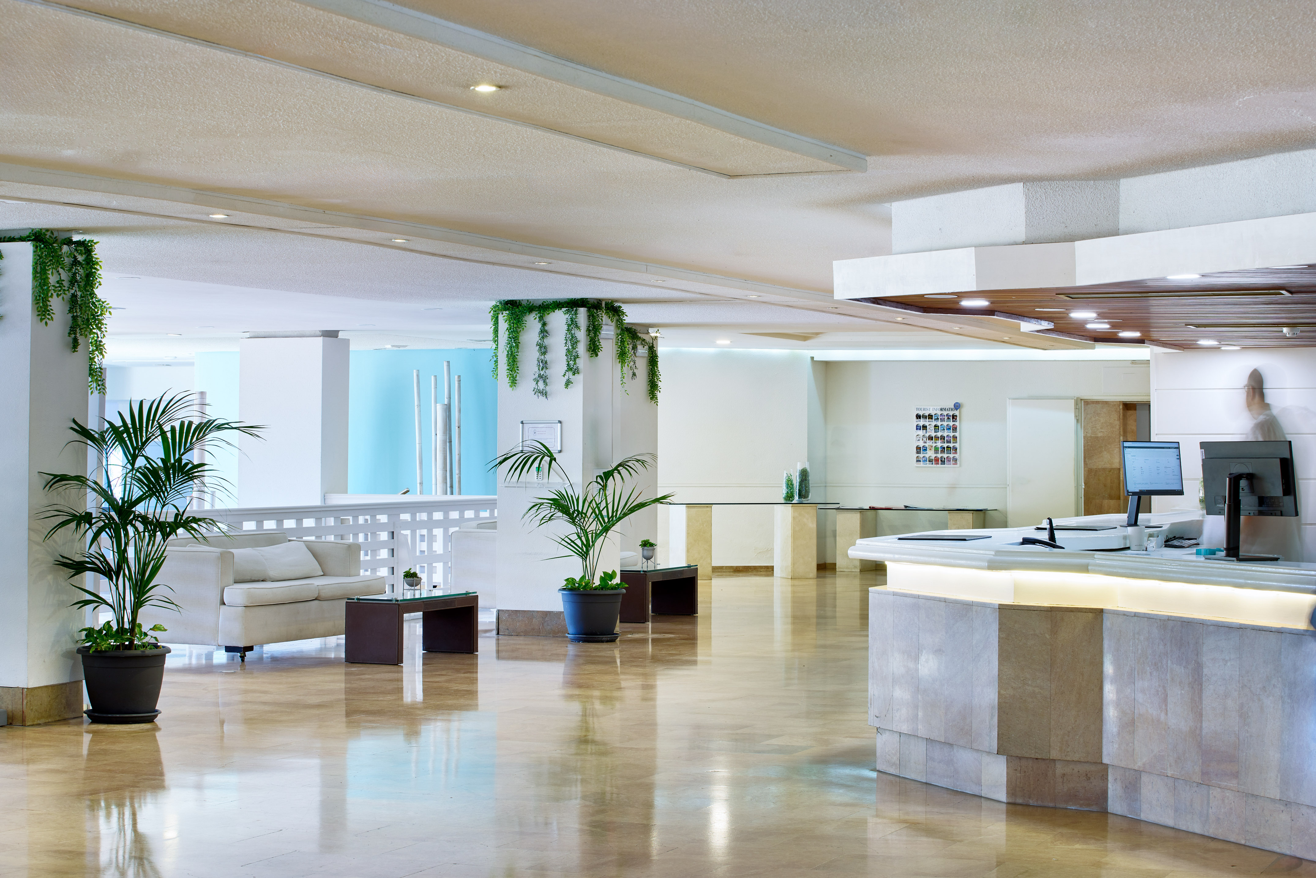 Bright hotel lobby with stone reception desk, white sofa, and lush green plants.