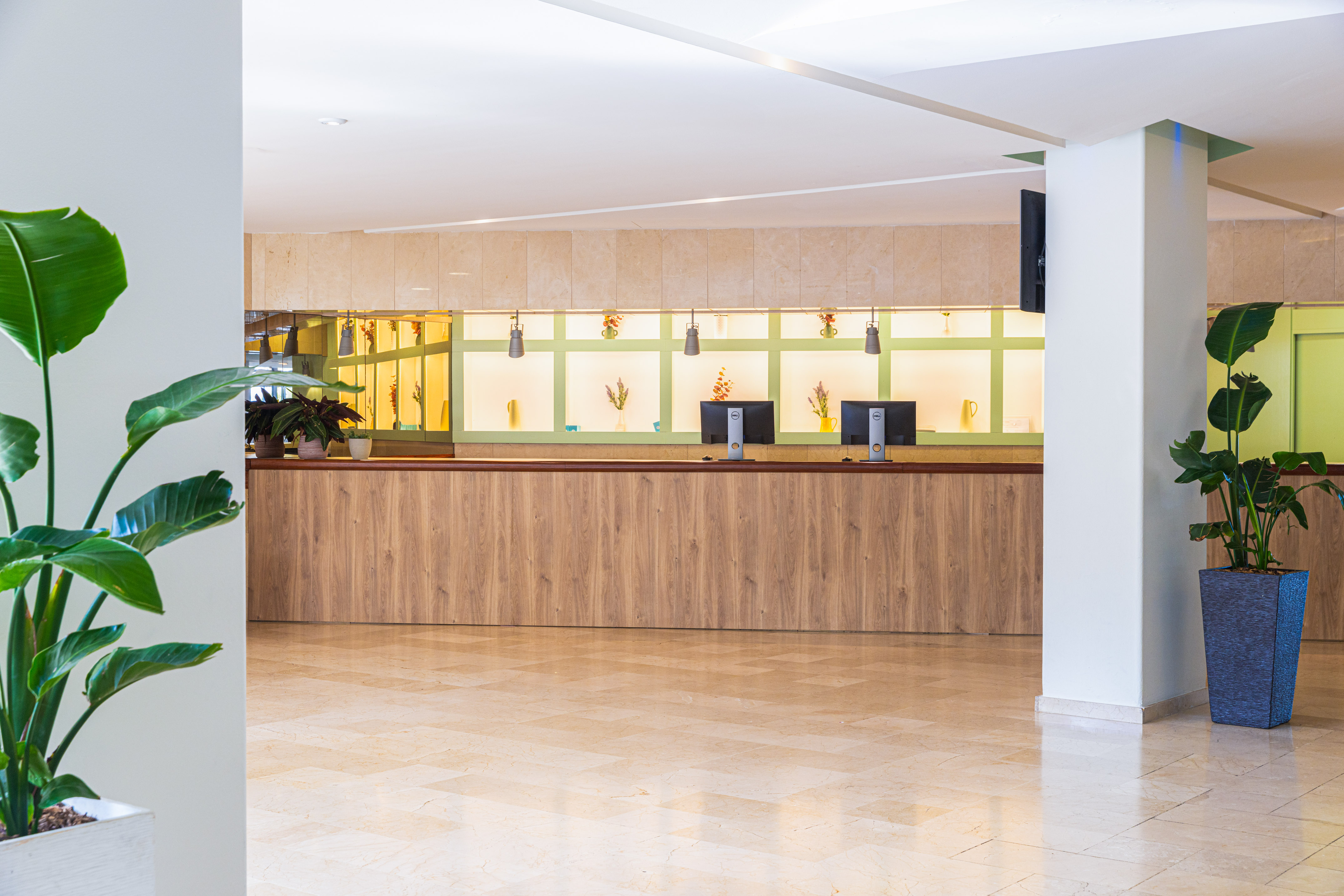 Modern hotel lobby front desk with wooden counter, green shelving, and plants.