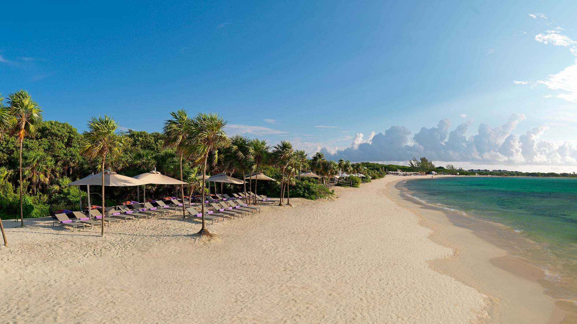 a beach with umbrellas and chairs