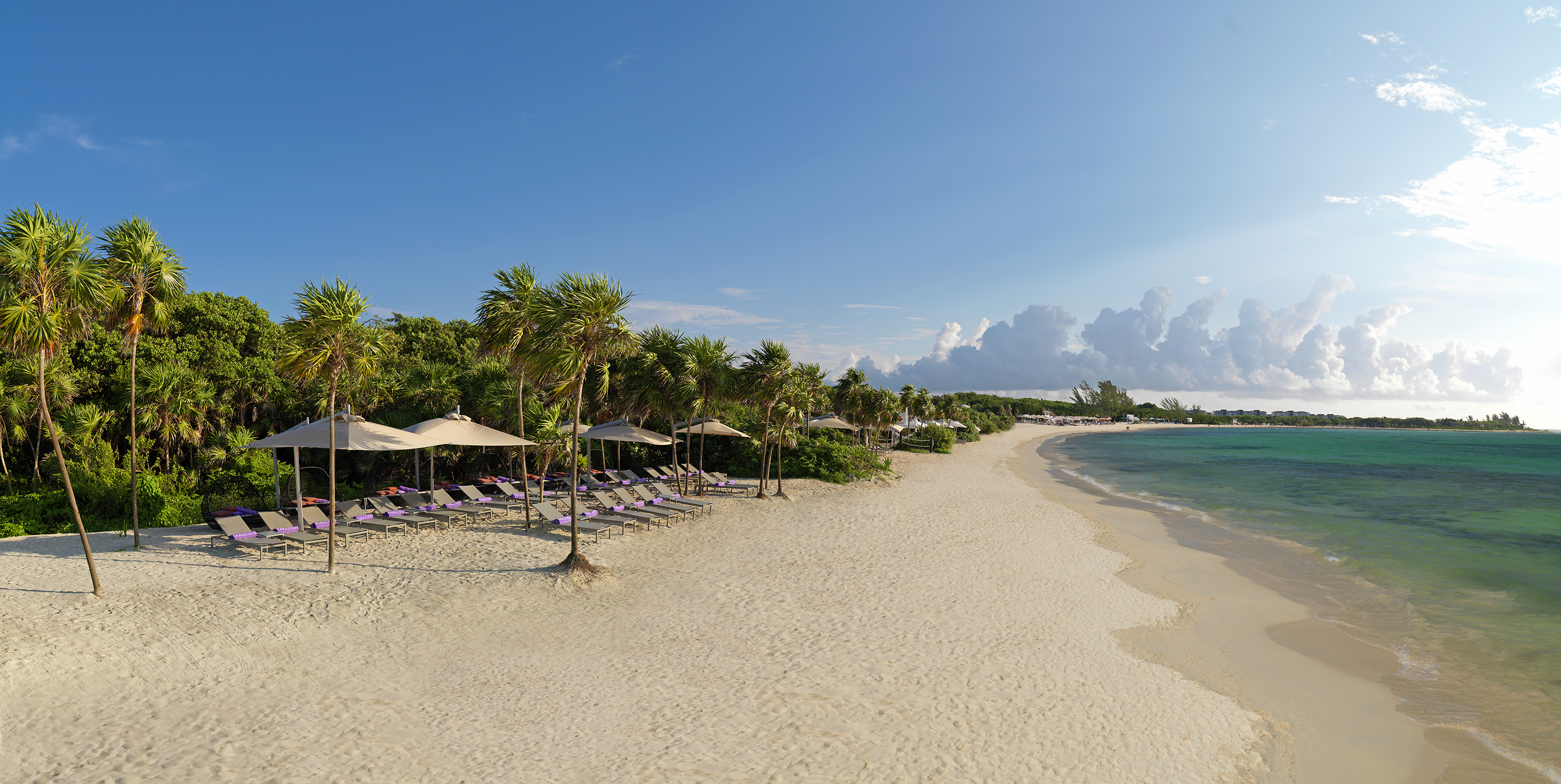 a beach with umbrellas and chairs