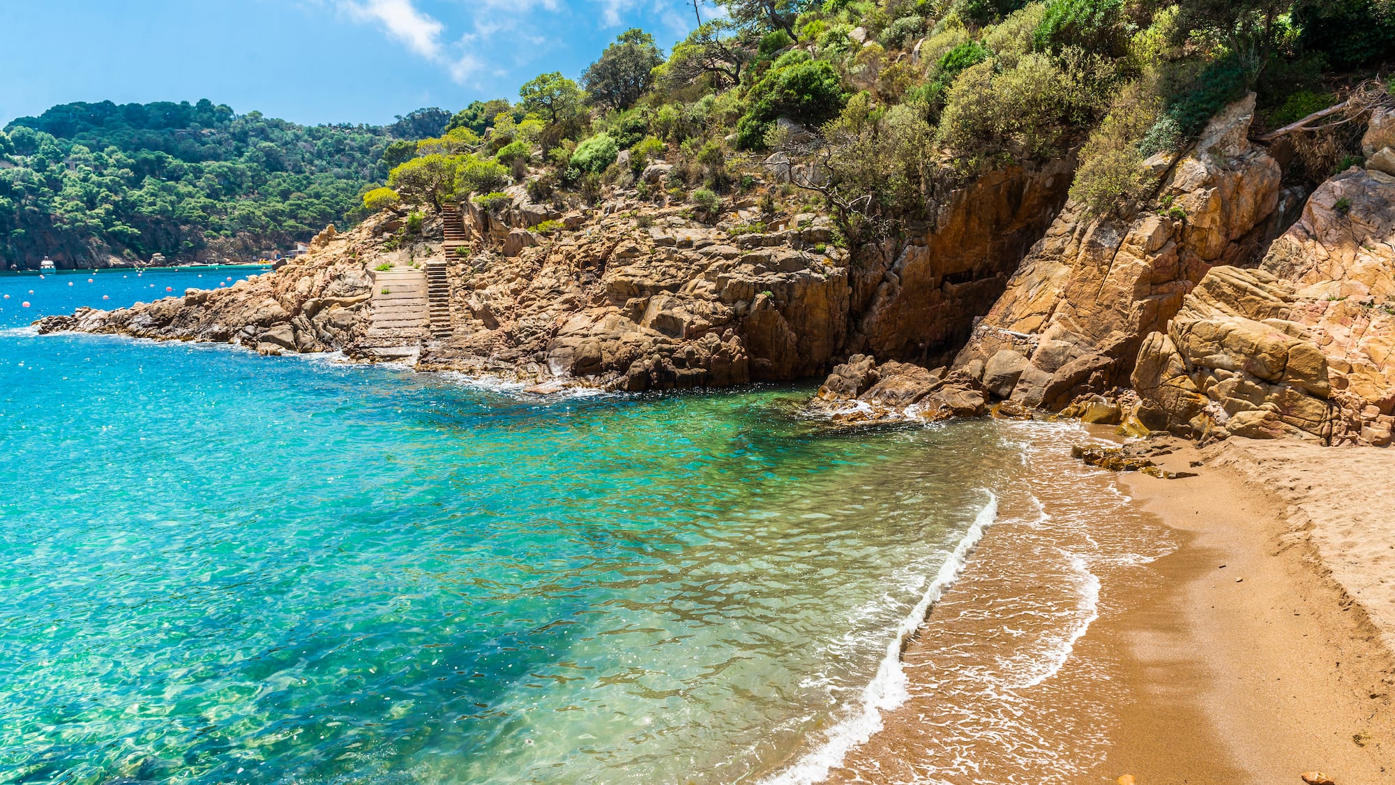 a beach with a rocky cliff and trees