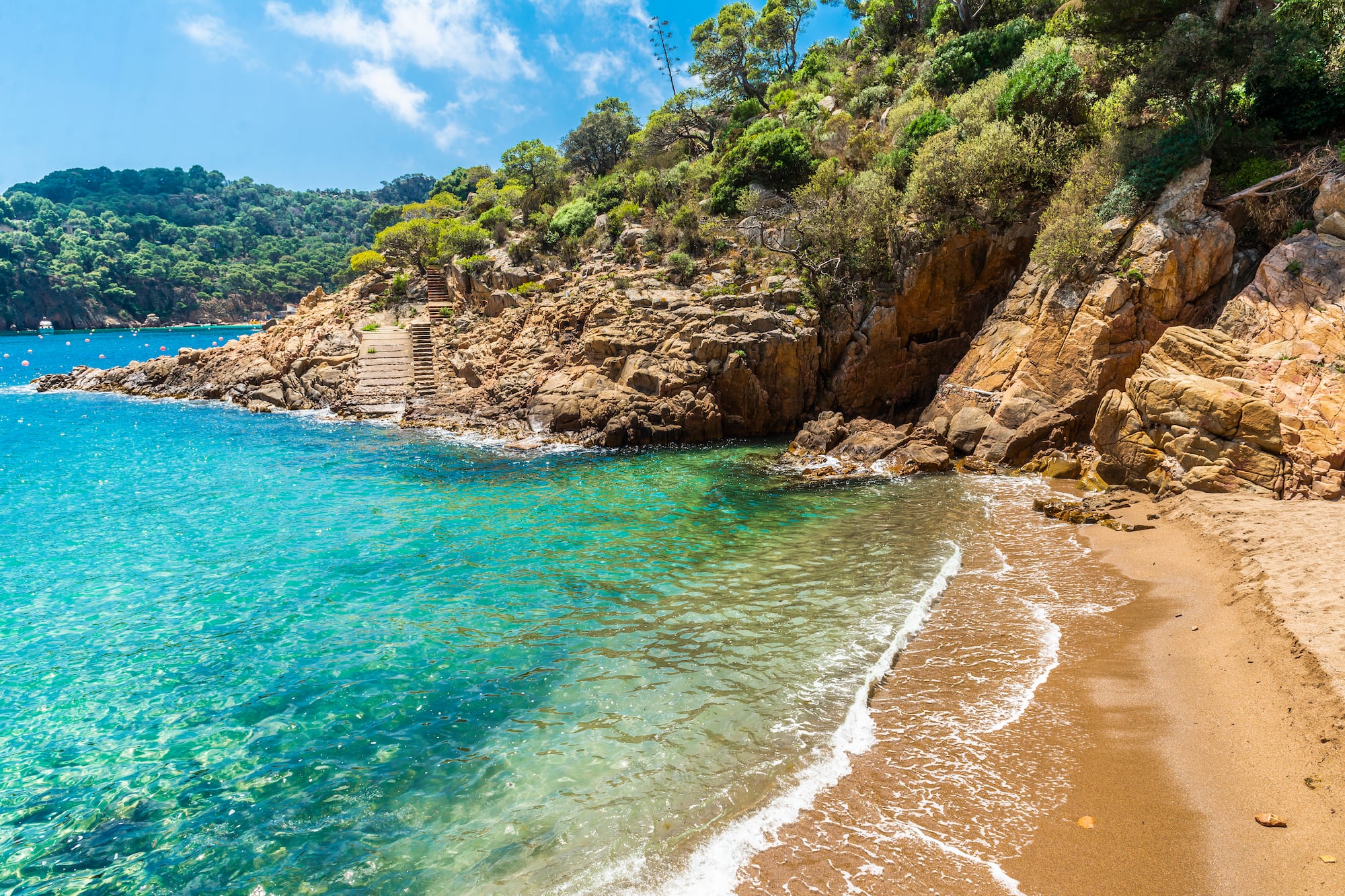 a beach with a rocky cliff and trees