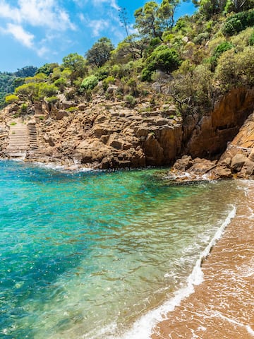 a beach with a rocky cliff and trees
