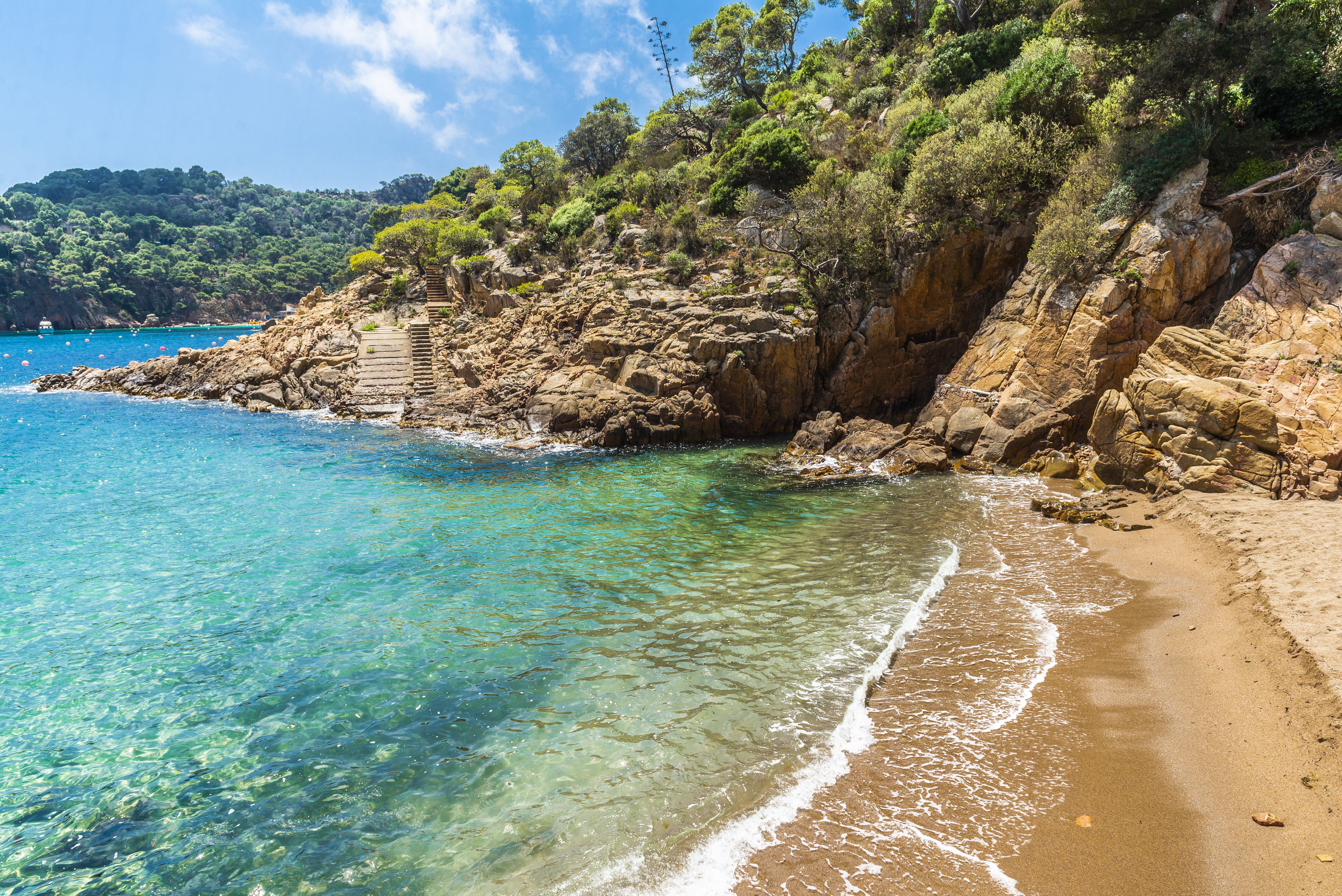 a beach with a rocky cliff and trees