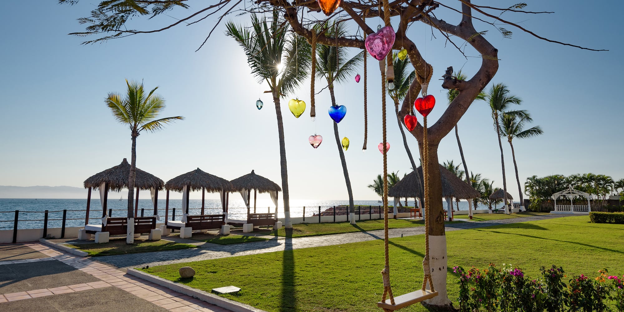 a tree with a swing and a beach in the background