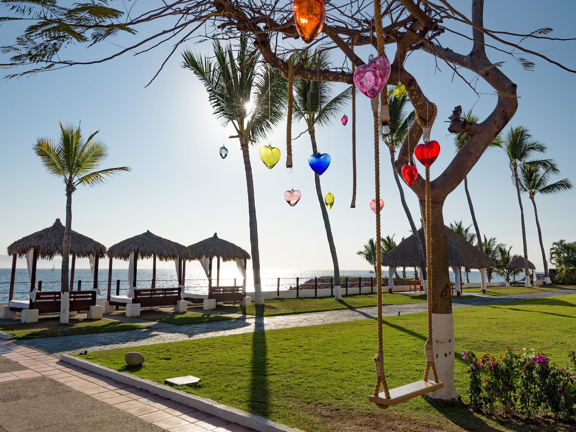 a tree with a swing and a beach in the background