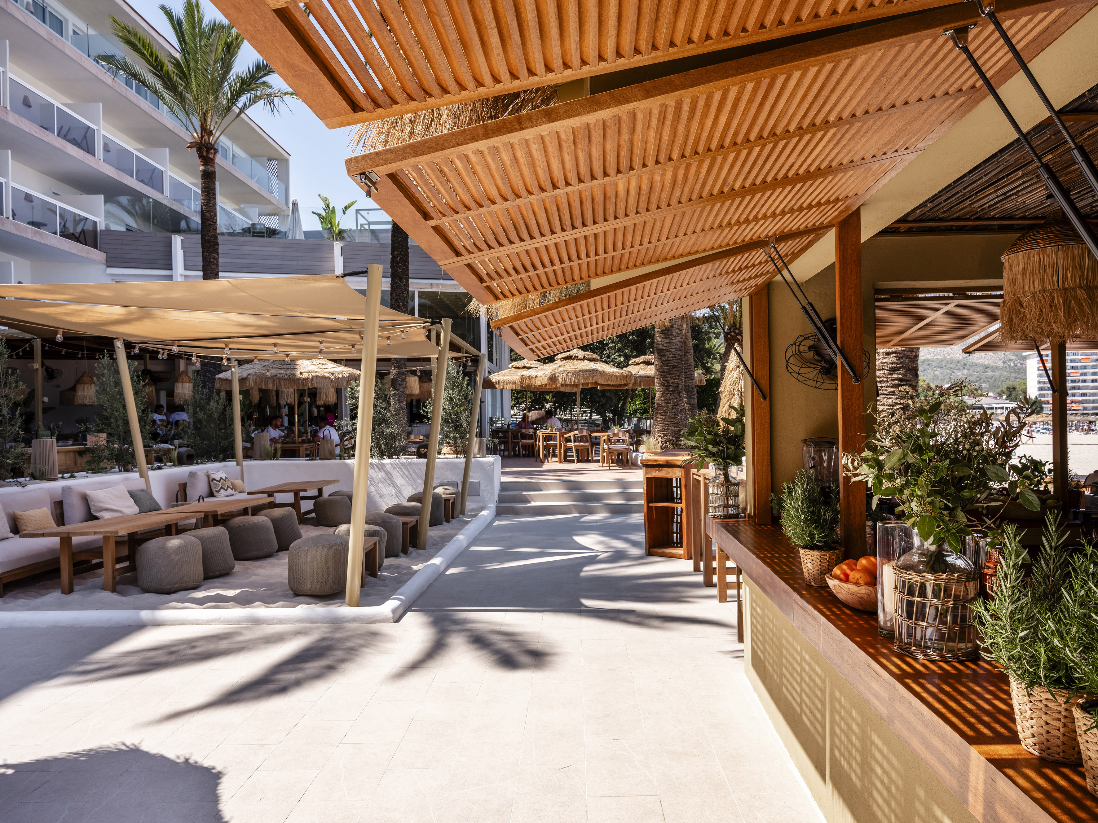 Sunny resort outdoor bar lounge with wooden pergola and palm trees.