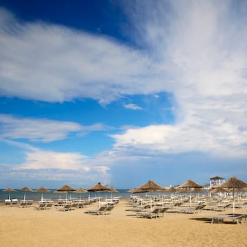 a beach with umbrellas and chairs