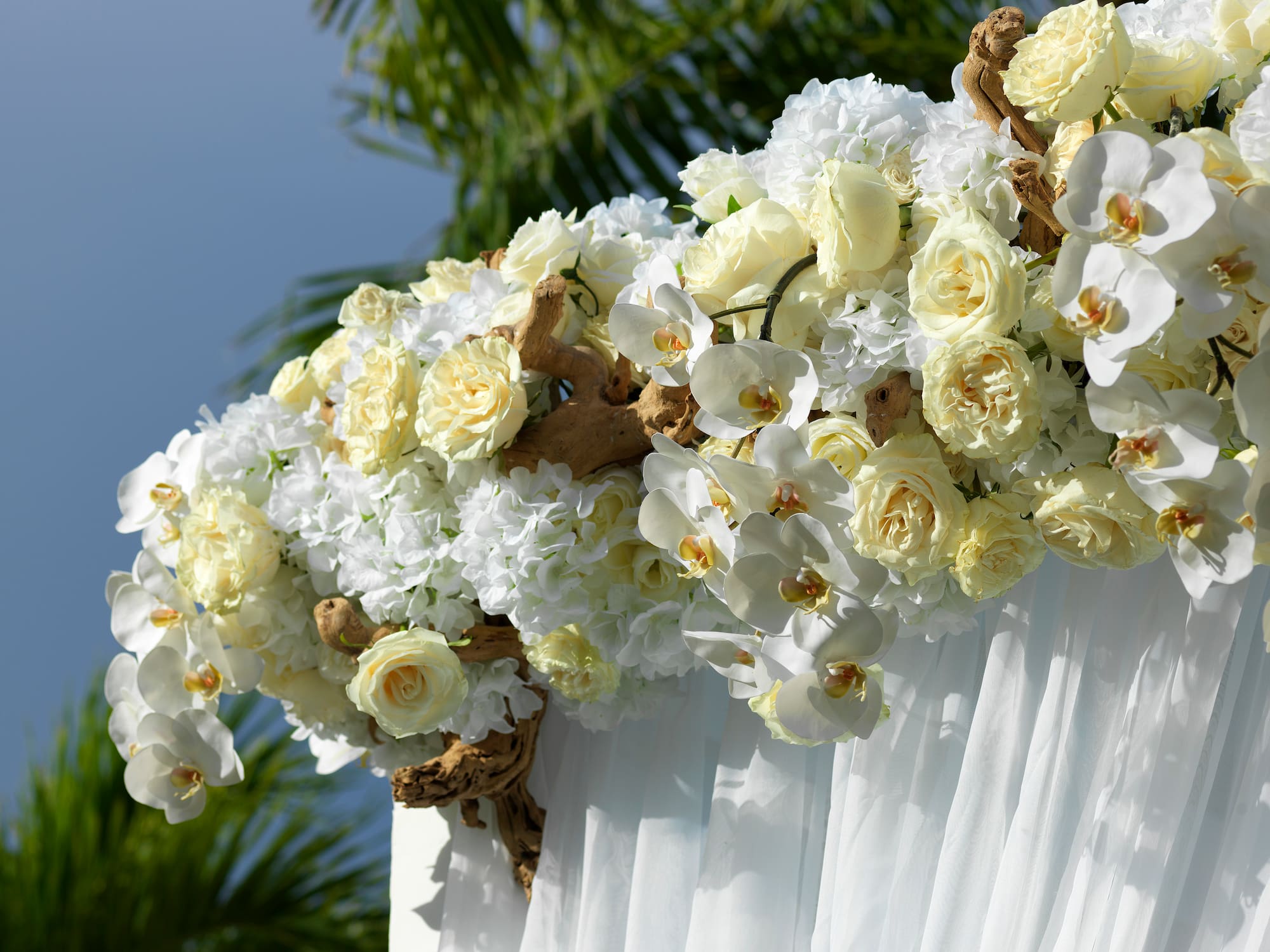 a white and yellow flowers on a white cloth