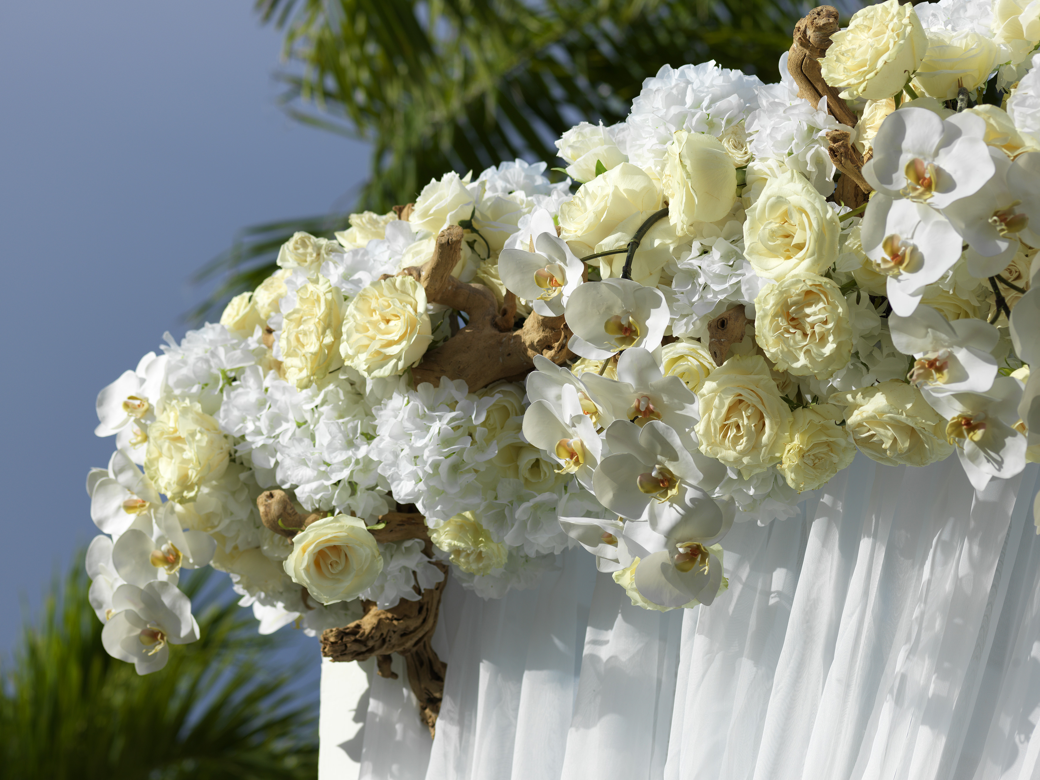 a white and yellow flowers on a white cloth