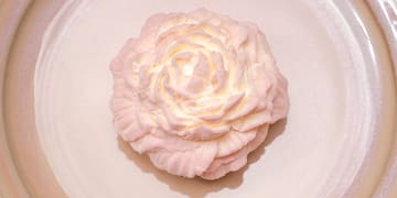 a pink flower on a plate