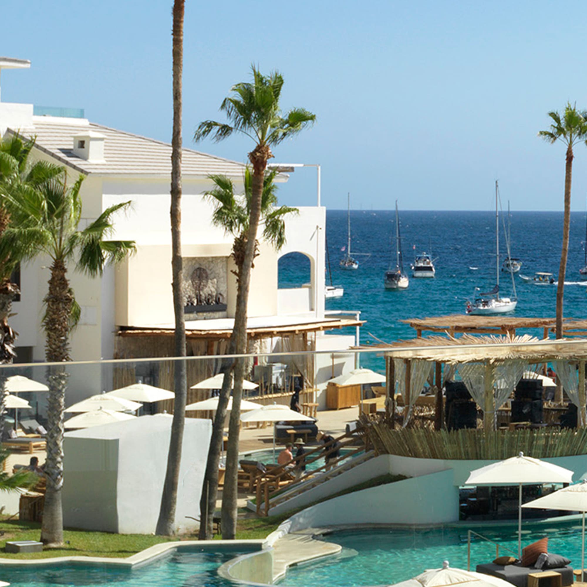 a pool with palm trees and a building with a body of water