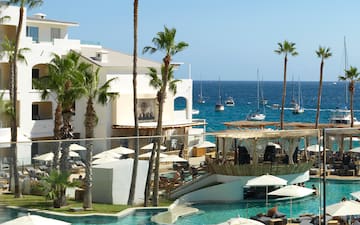 a pool with palm trees and a building with a body of water