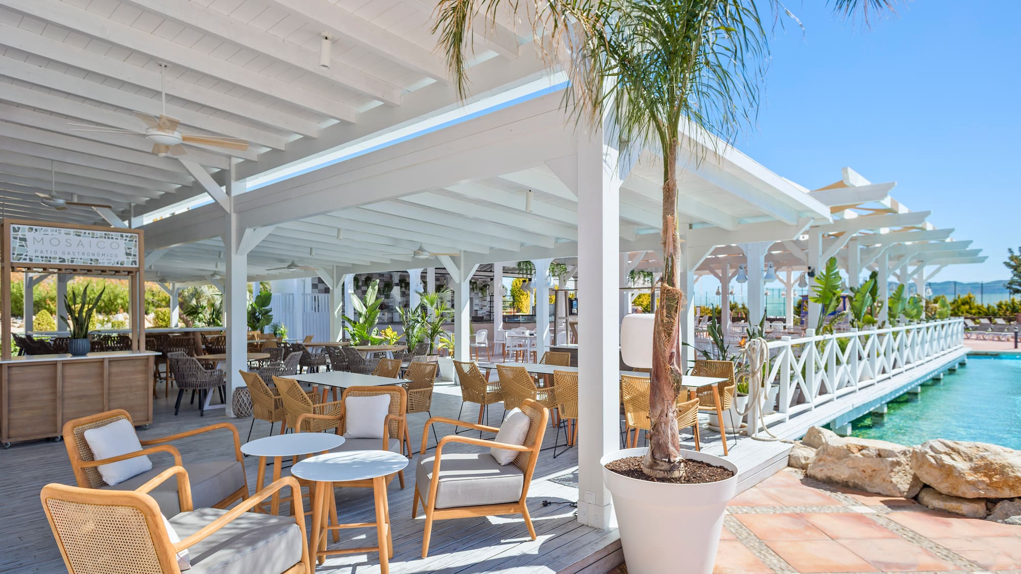 a patio with tables and chairs and a palm tree
