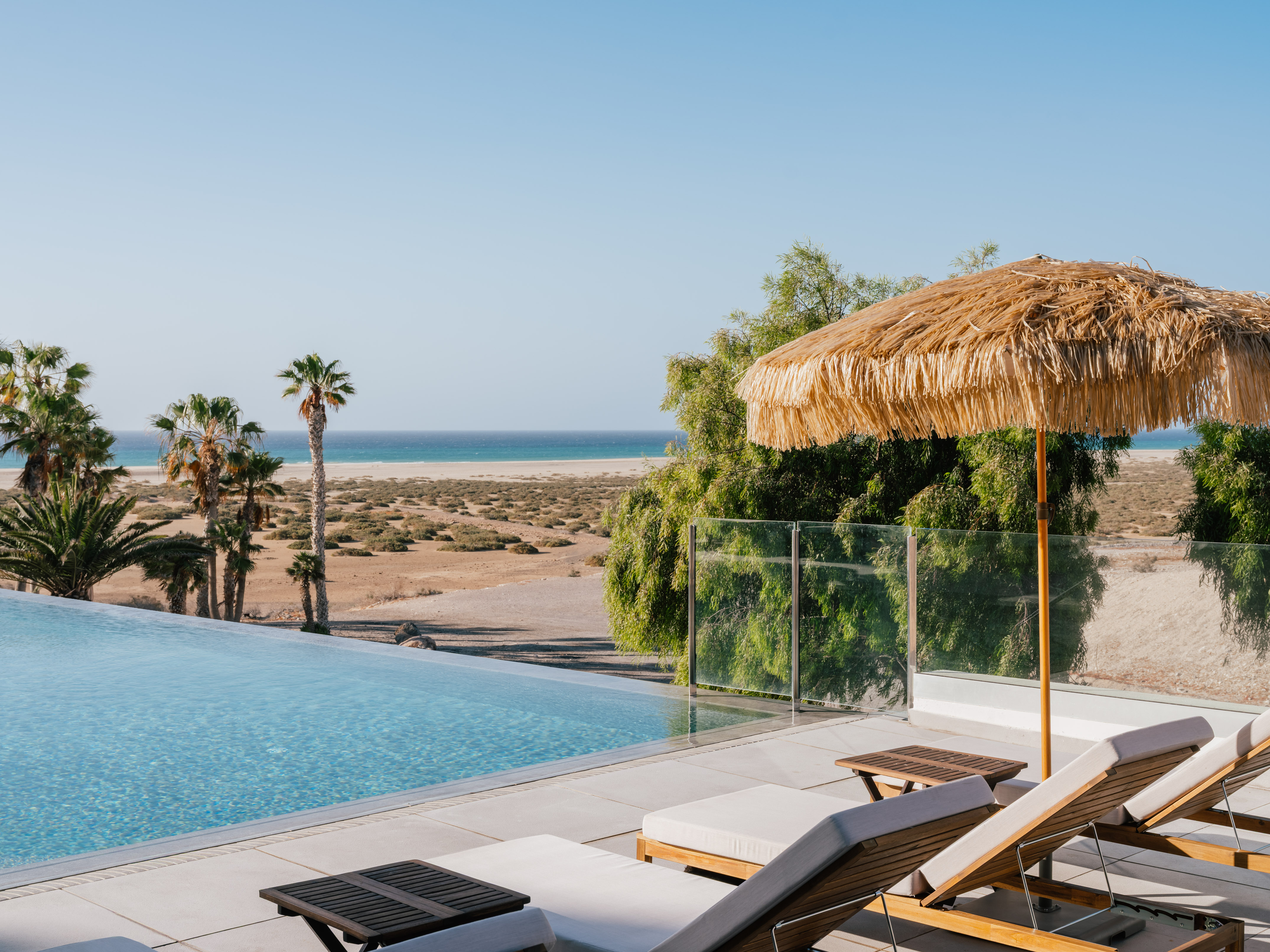 Resort infinity pool overlooking ocean and sandy beach, palm trees, loungers.