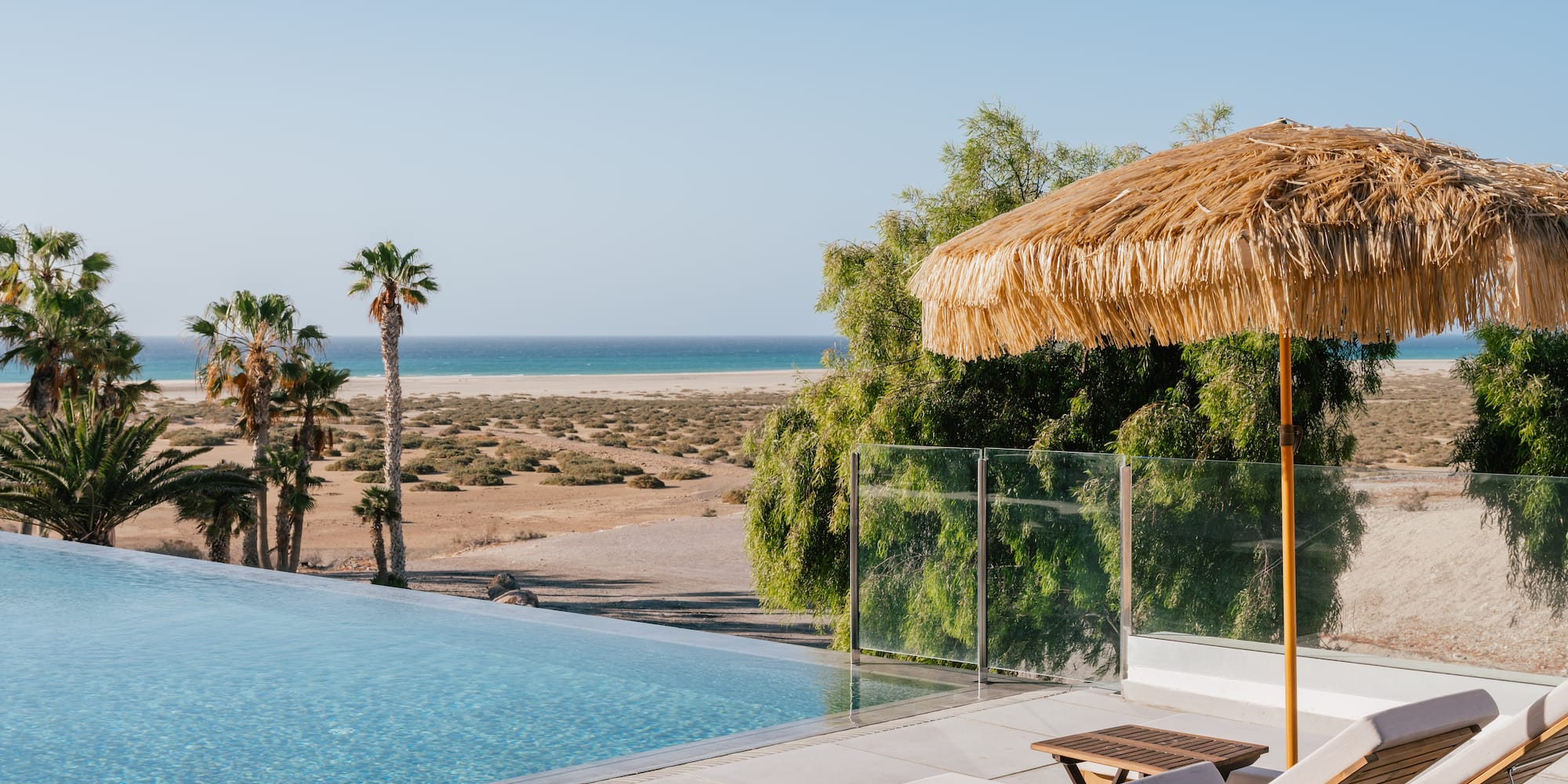 Tropical infinity pool, ocean view, palm trees, lounge chairs.