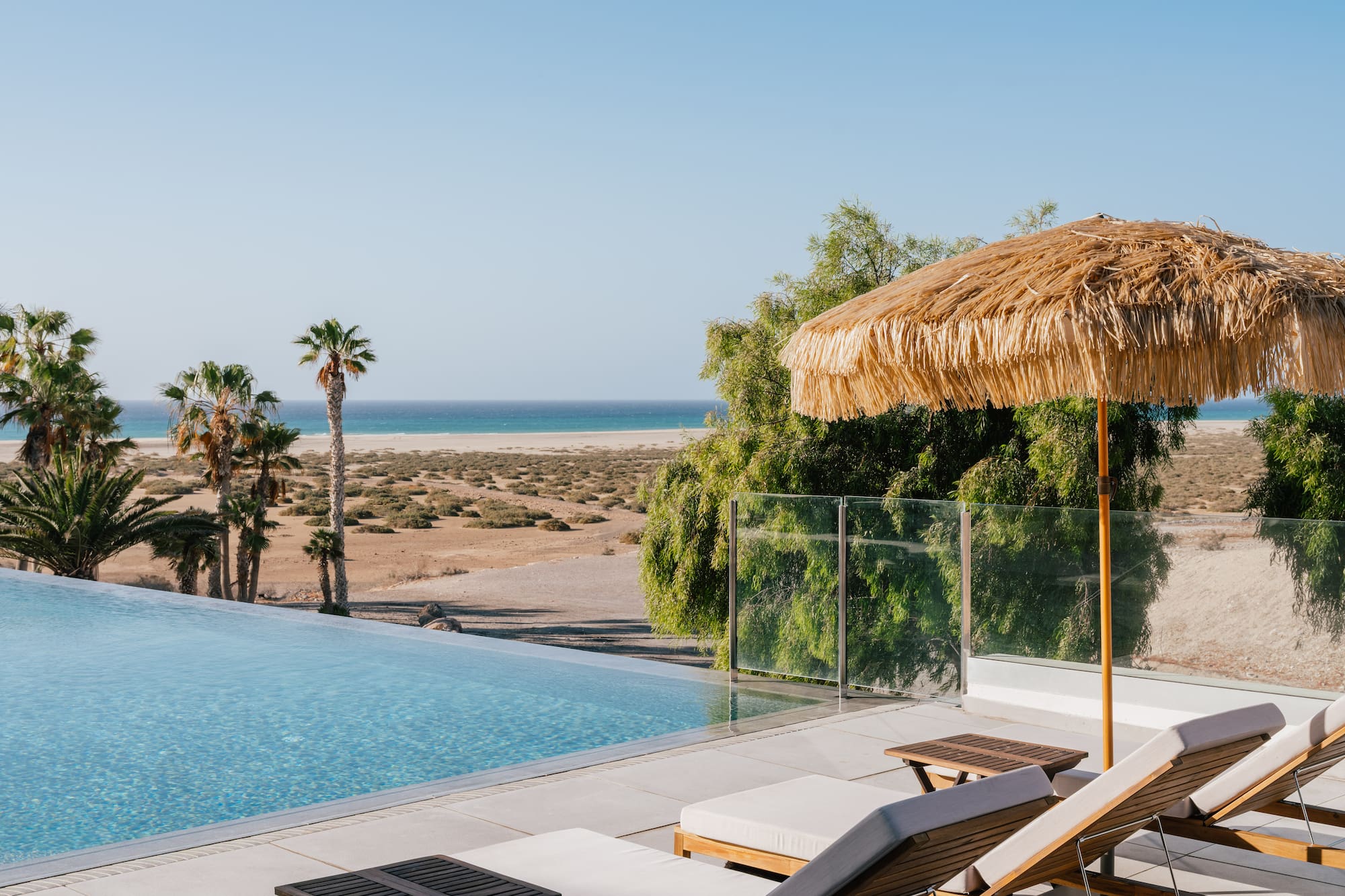 Resort infinity pool overlooking ocean and sandy beach, palm trees, loungers.