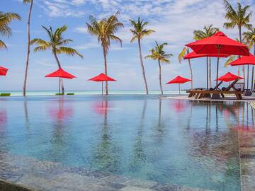 a pool with red umbrellas and palm trees
