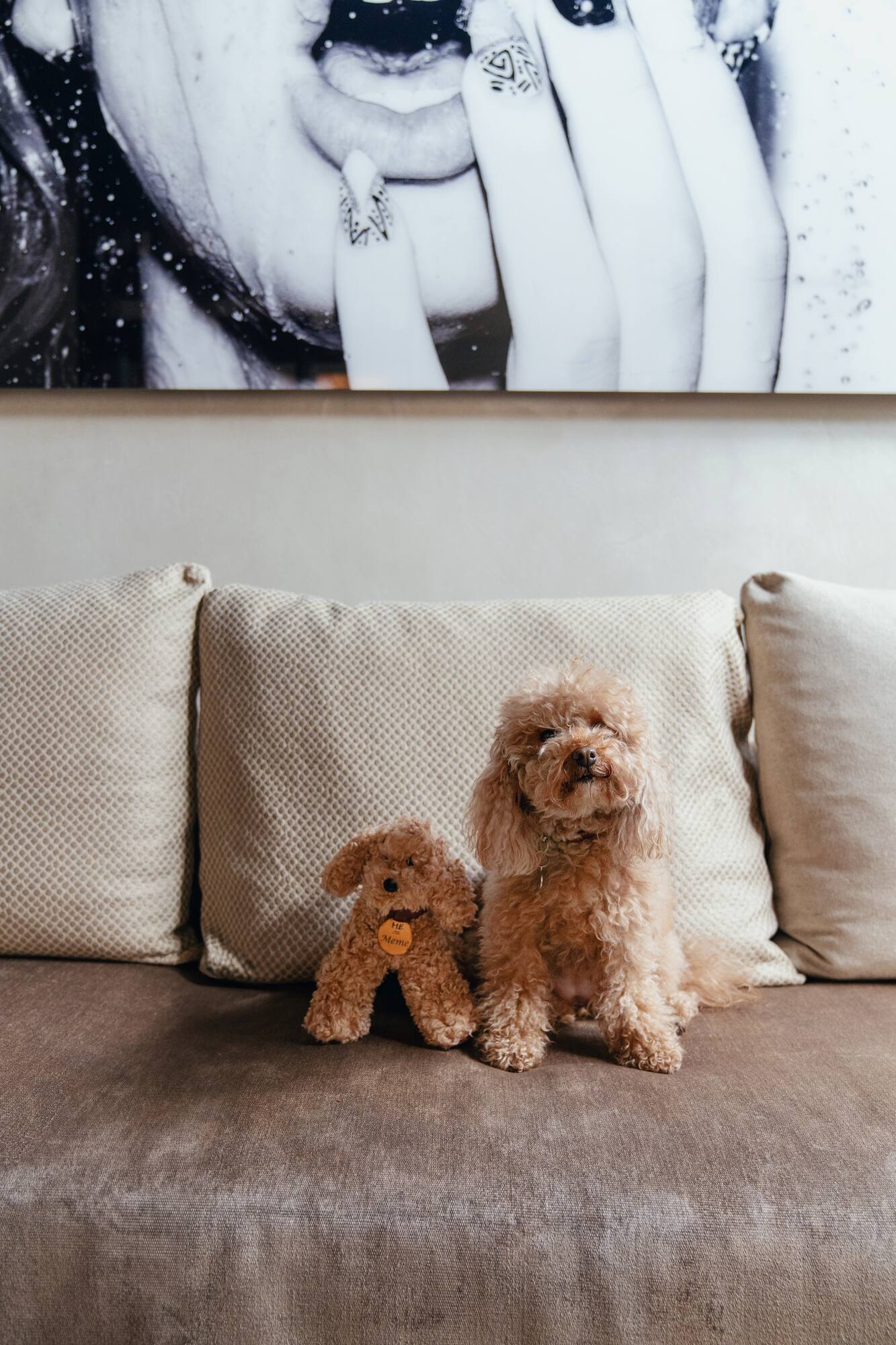 a dog sitting on a couch next to a stuffed animal
