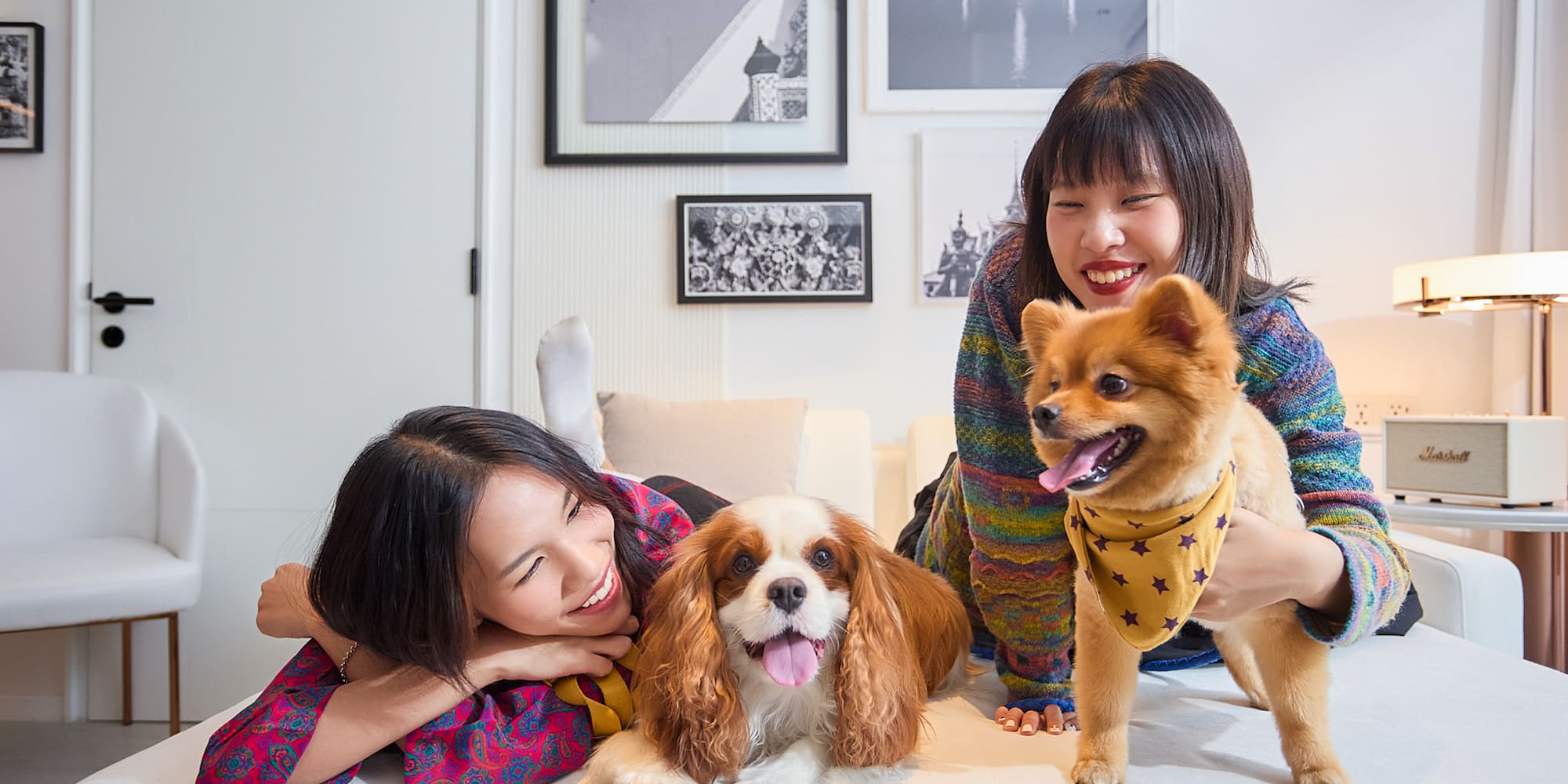 two women lying on a couch with dogs