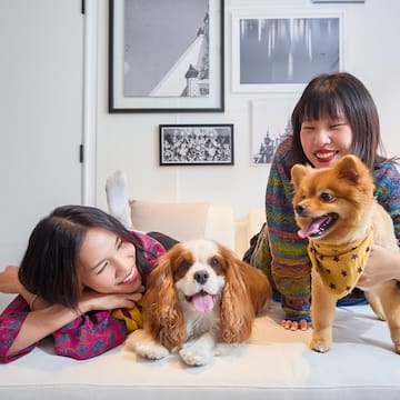 two women lying on a couch with dogs