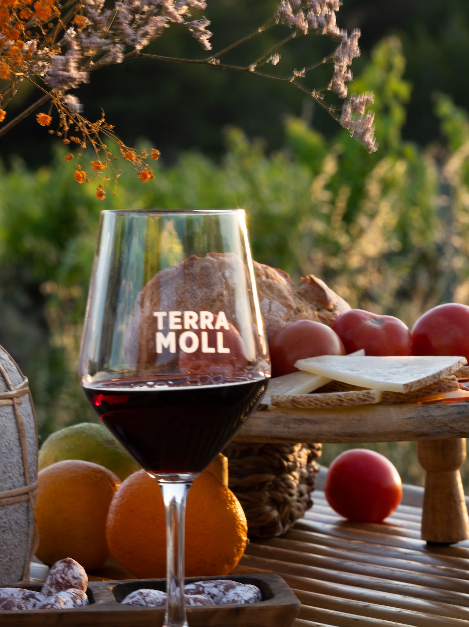 Copa vino tinto Terra Moll, rosado, quesos, embutidos y pan al aire libre.