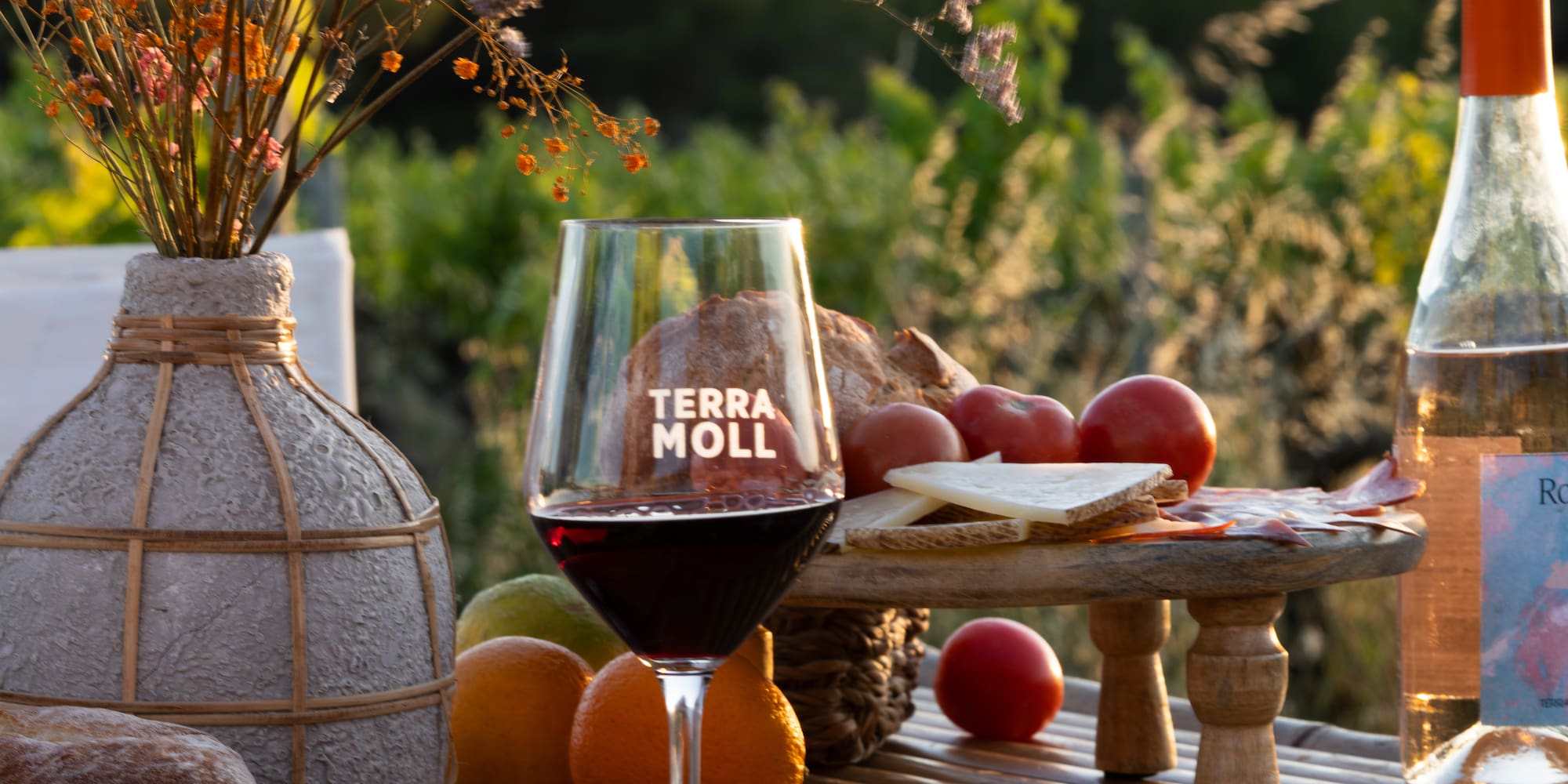 Copa vino tinto Terra Moll, rosado, quesos, embutidos y pan al aire libre.