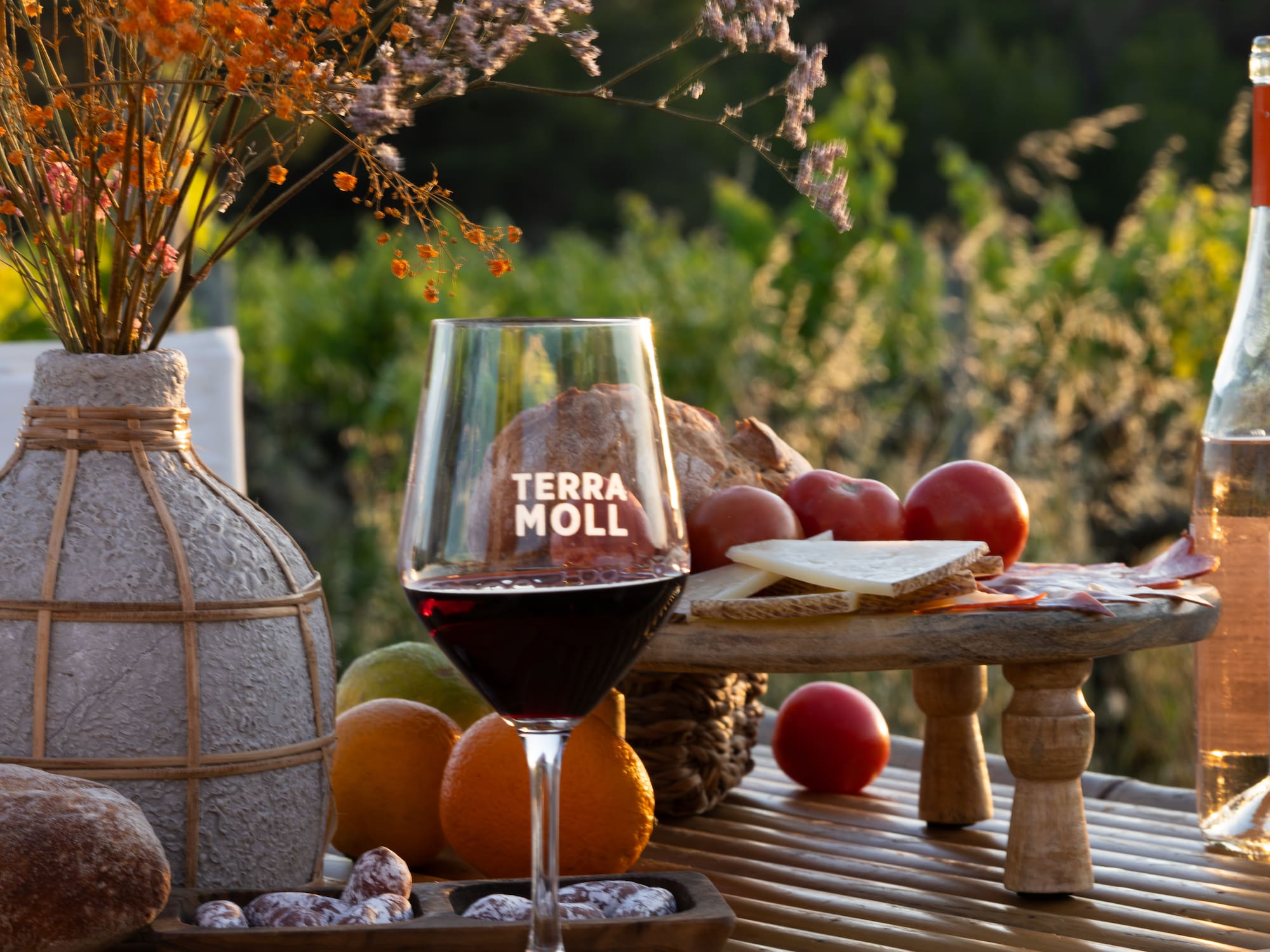 Copa vino tinto Terra Moll, rosado, quesos, embutidos y pan al aire libre.