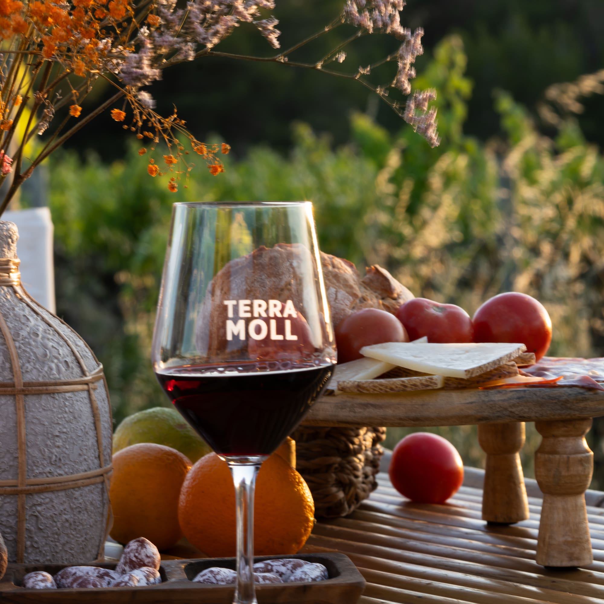Copa vino tinto Terra Moll, rosado, quesos, embutidos y pan al aire libre.